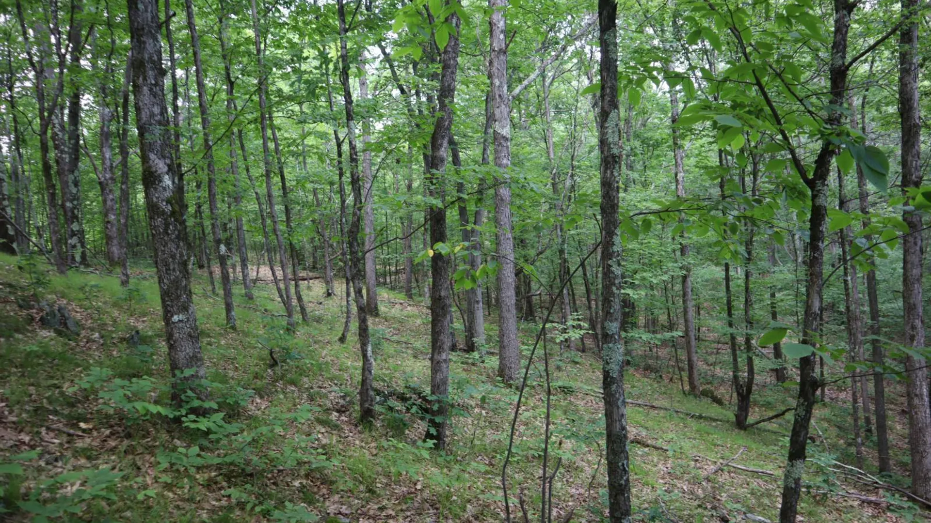 Property at 211 Bromley Ln, Granville, NY 12832 47