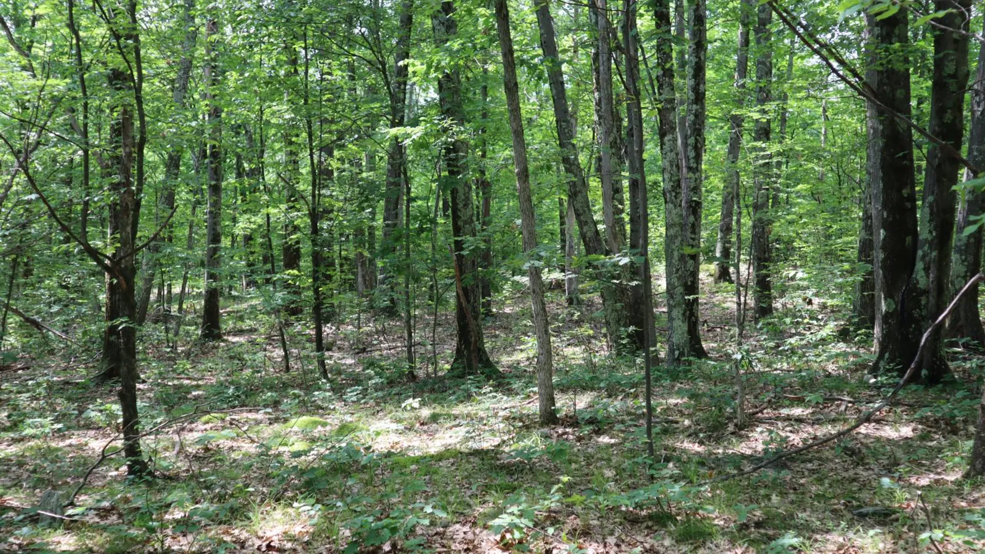 Property at 211 Bromley Ln, Granville, NY 12832 48