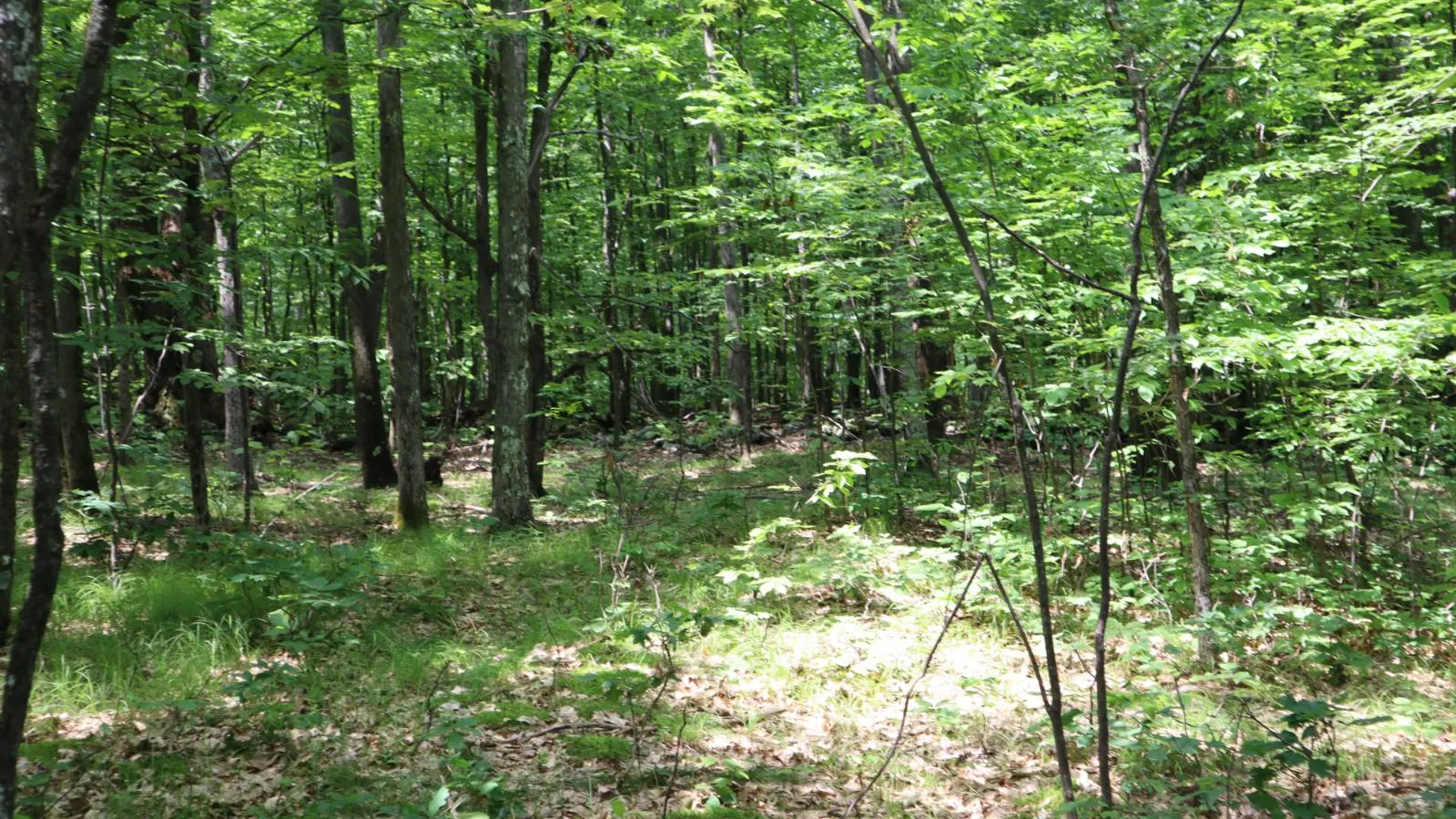 Property at 211 Bromley Ln, Granville, NY 12832 49