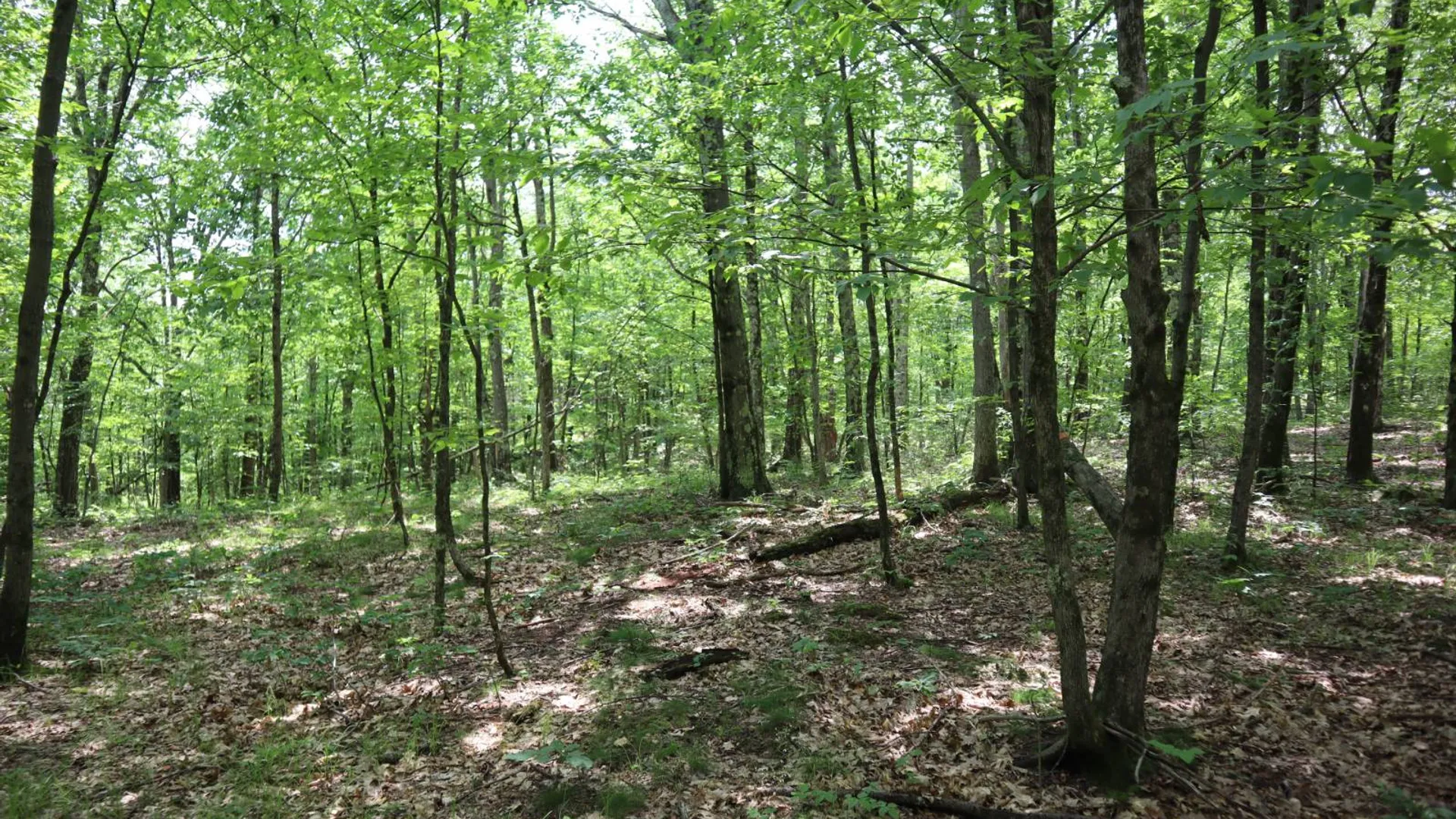 Property at 211 Bromley Ln, Granville, NY 12832 50