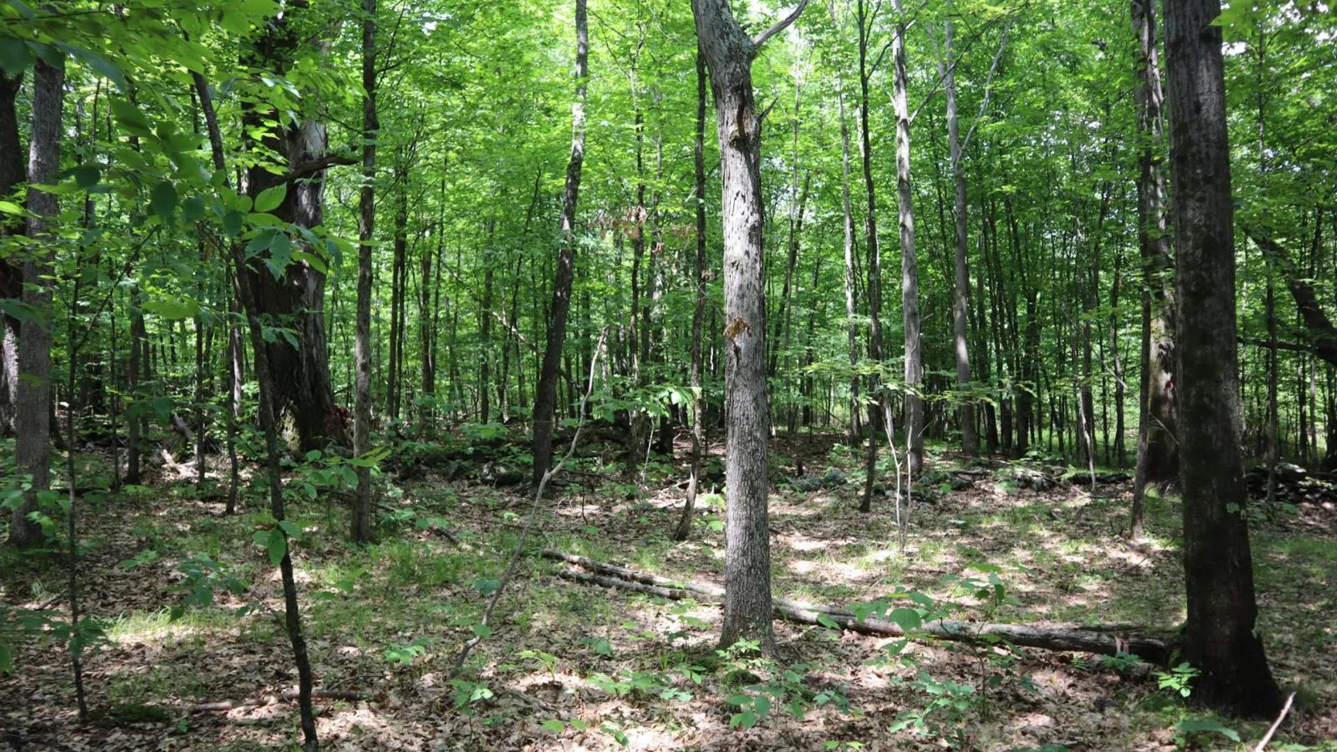 Property at 211 Bromley Ln, Granville, NY 12832 51