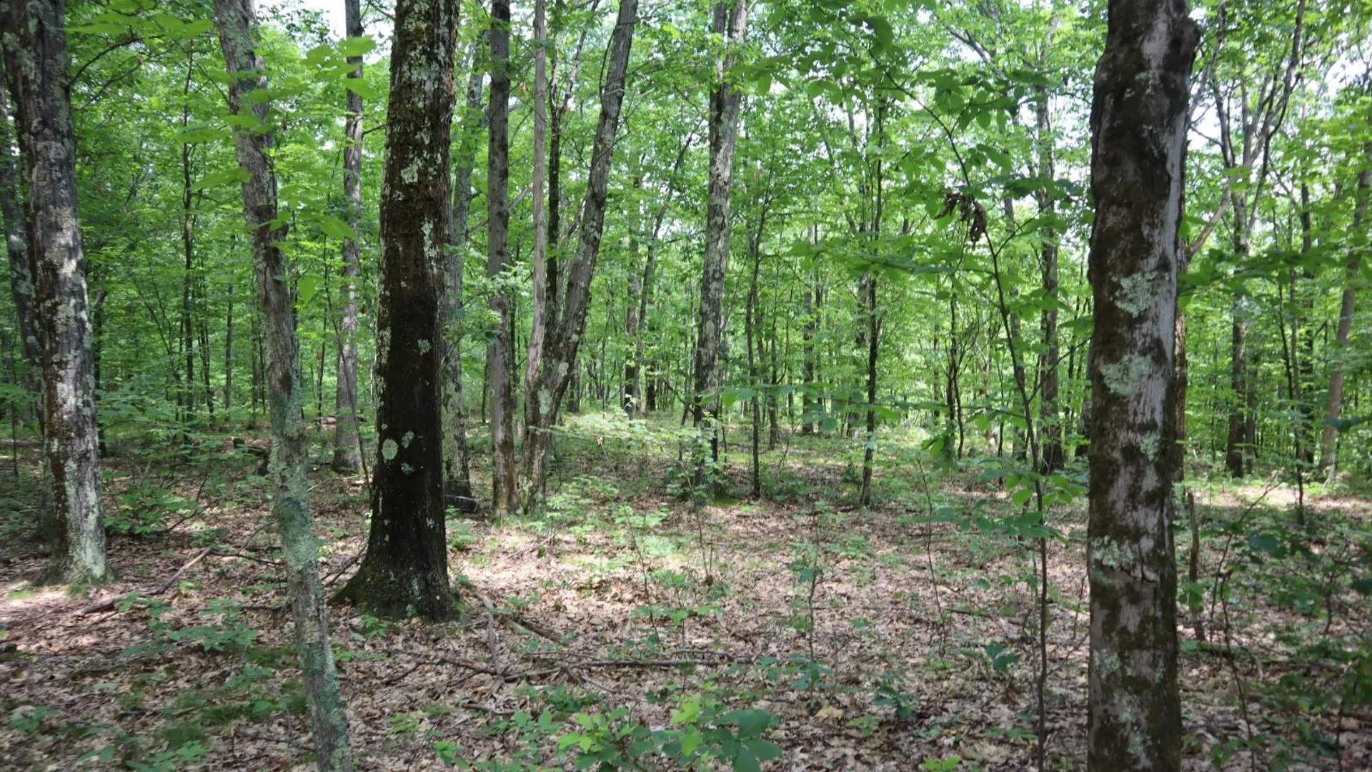 Property at 211 Bromley Ln, Granville, NY 12832 53