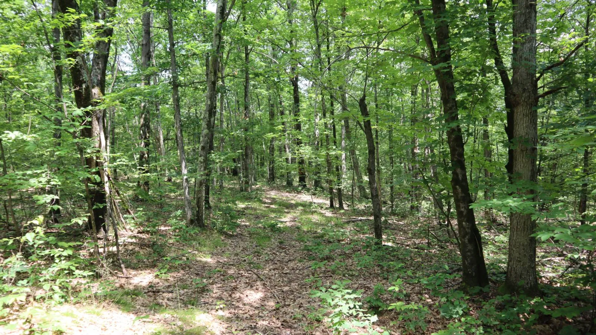 Property at 211 Bromley Ln, Granville, NY 12832 54