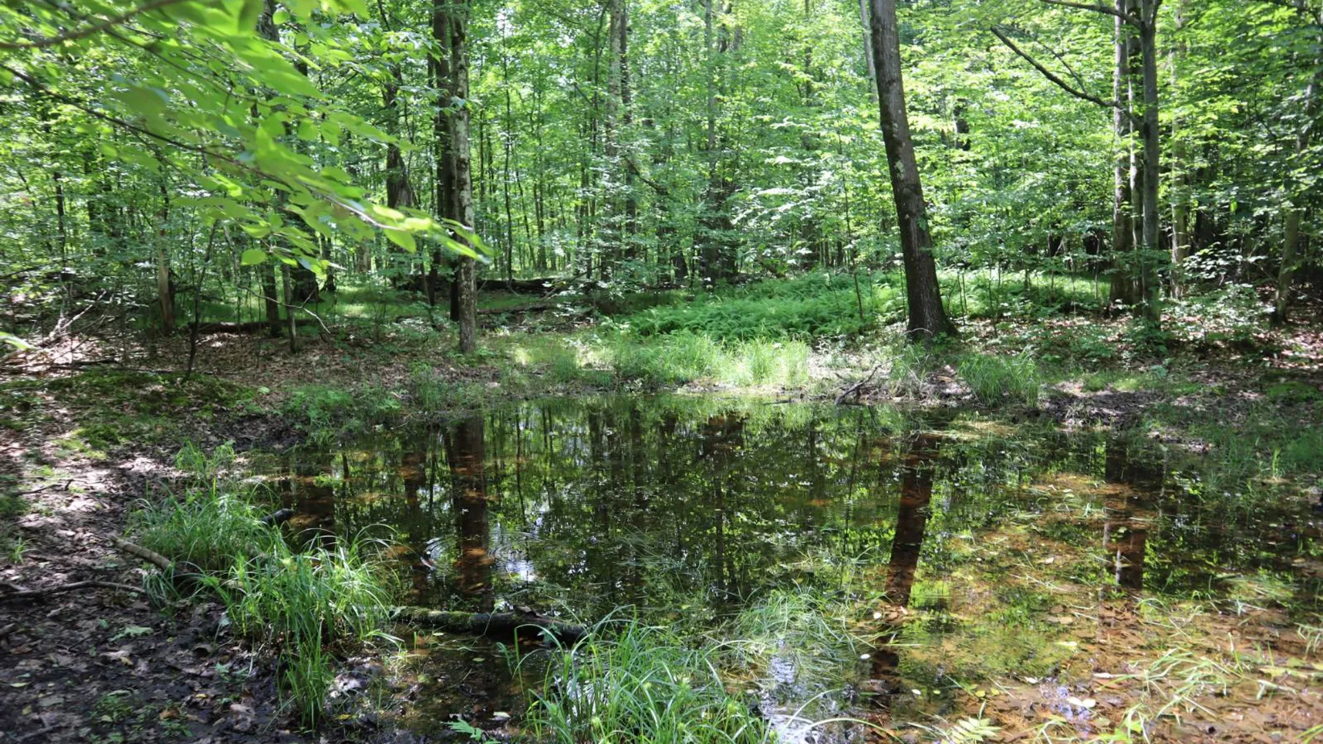 Property at 211 Bromley Ln, Granville, NY 12832 55