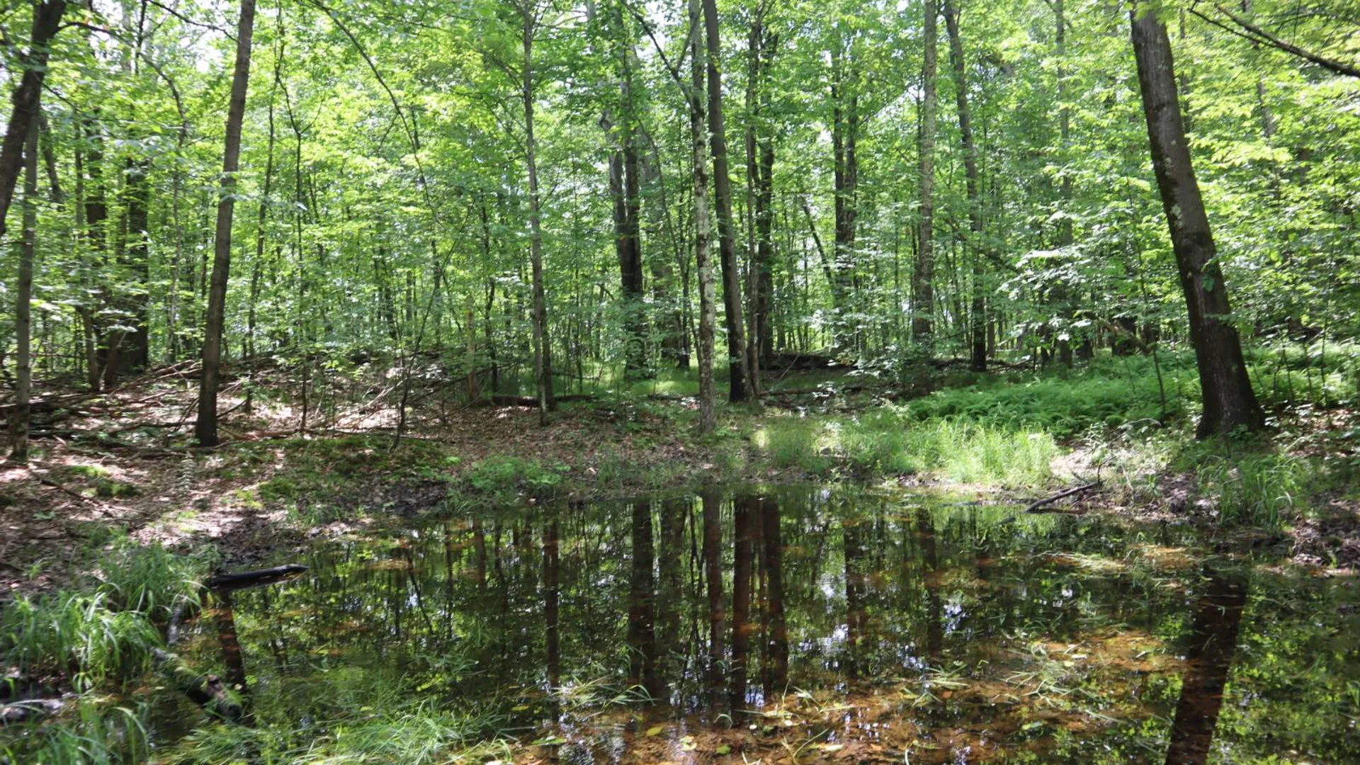 Property at 211 Bromley Ln, Granville, NY 12832 56