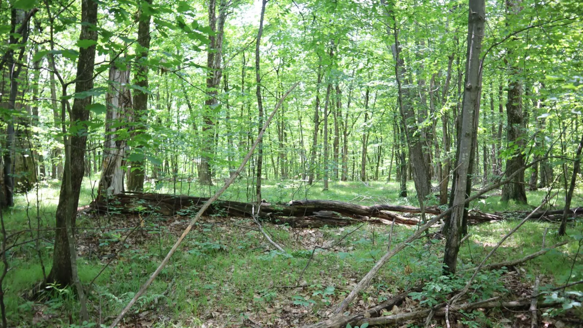 Property at 211 Bromley Ln, Granville, NY 12832 57