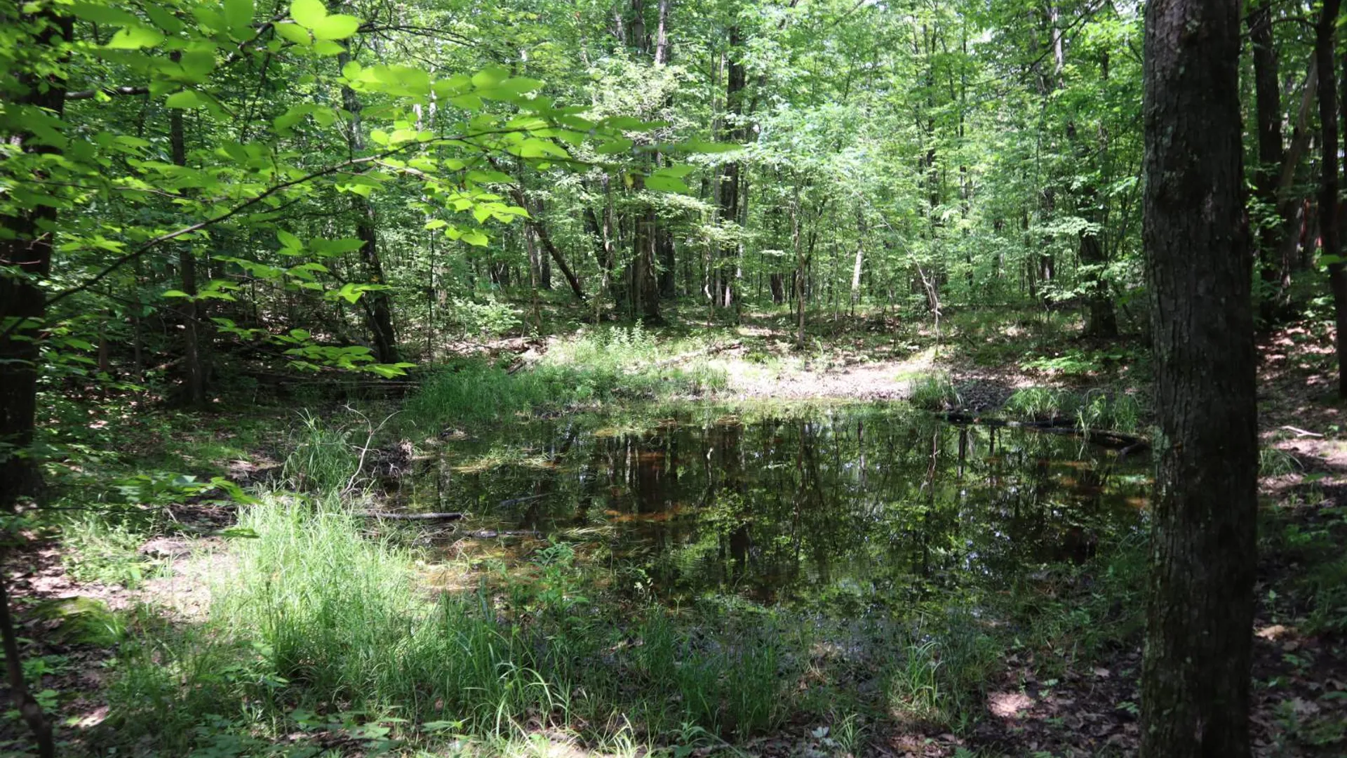 Property at 211 Bromley Ln, Granville, NY 12832 58