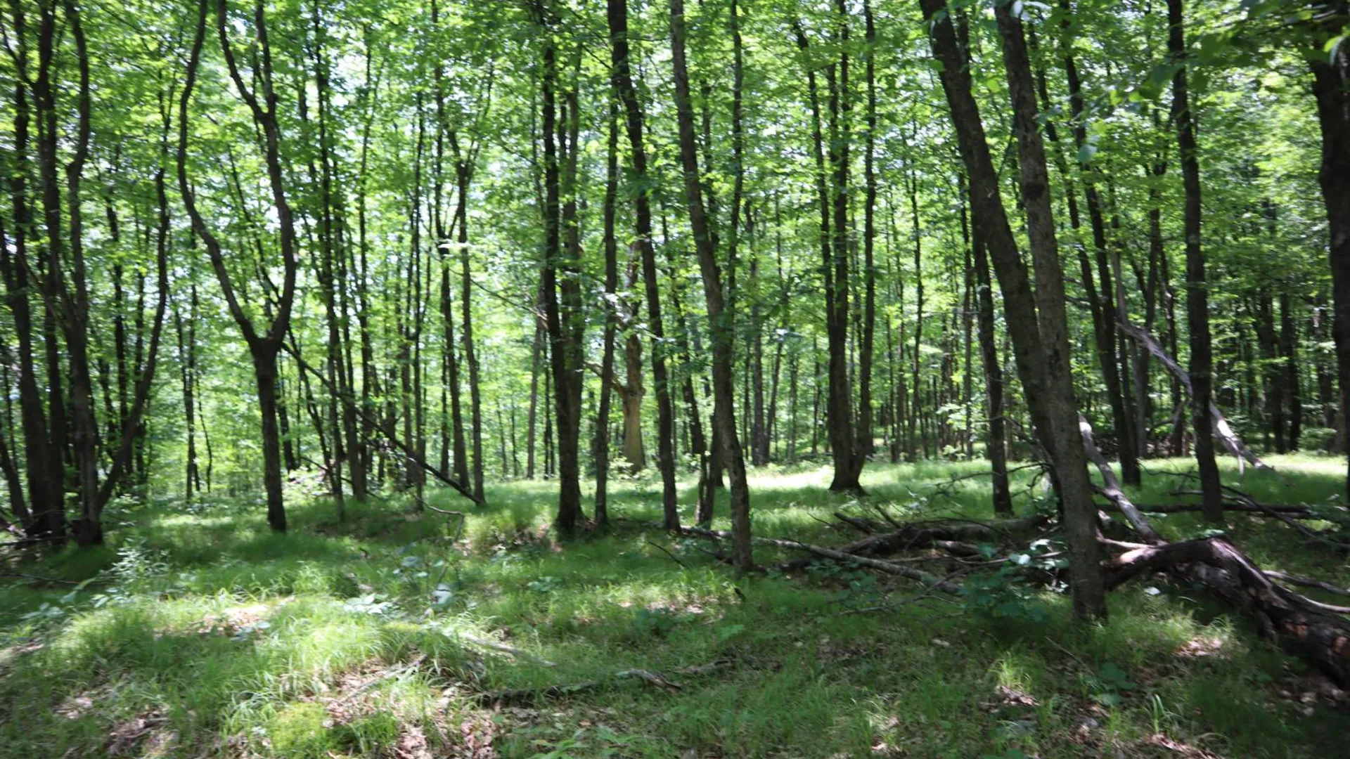 Property at 211 Bromley Ln, Granville, NY 12832 59