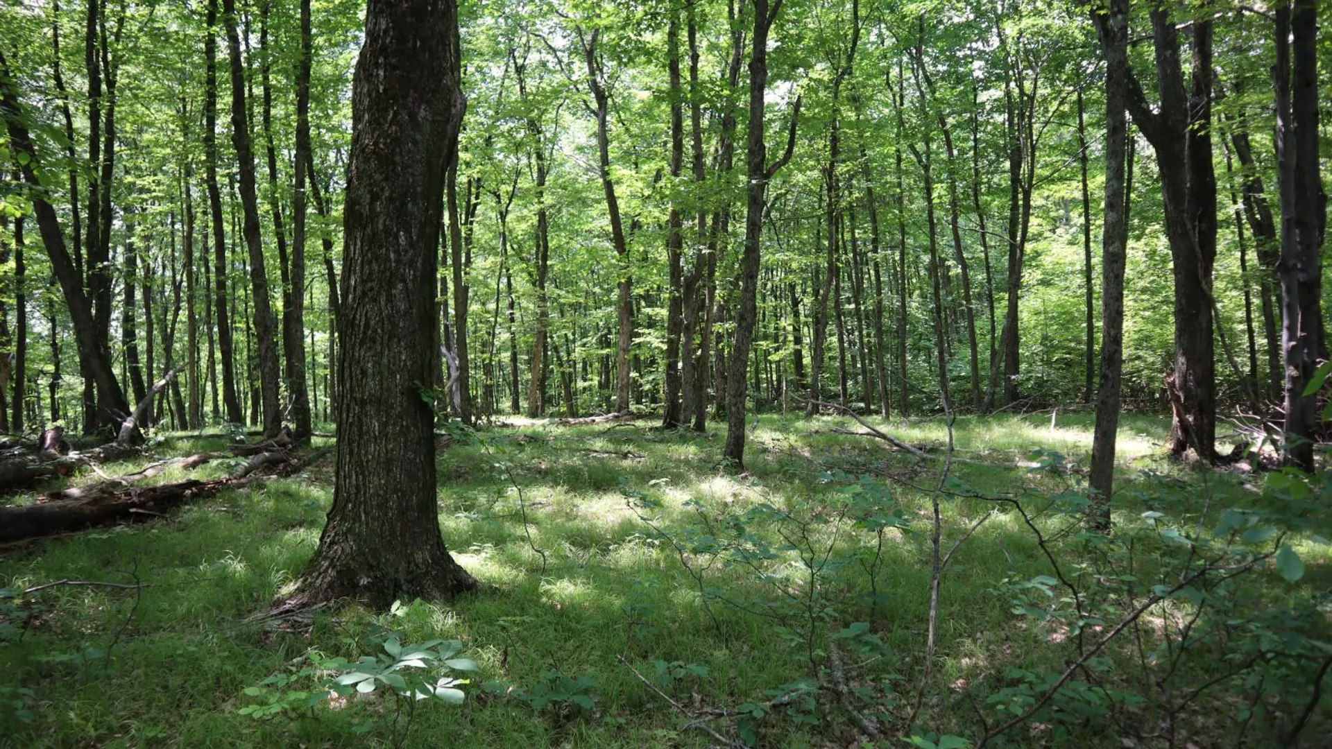 Property at 211 Bromley Ln, Granville, NY 12832 6