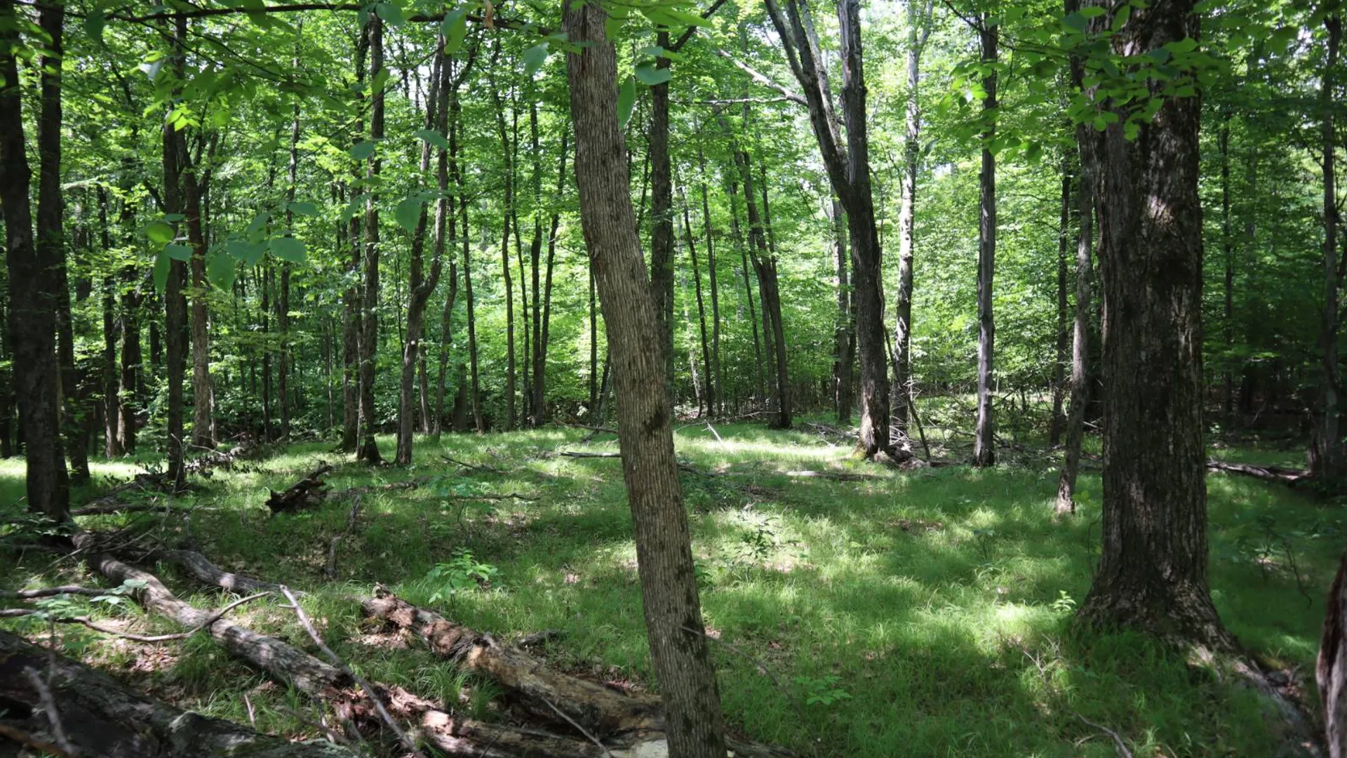 Property at 211 Bromley Ln, Granville, NY 12832 60