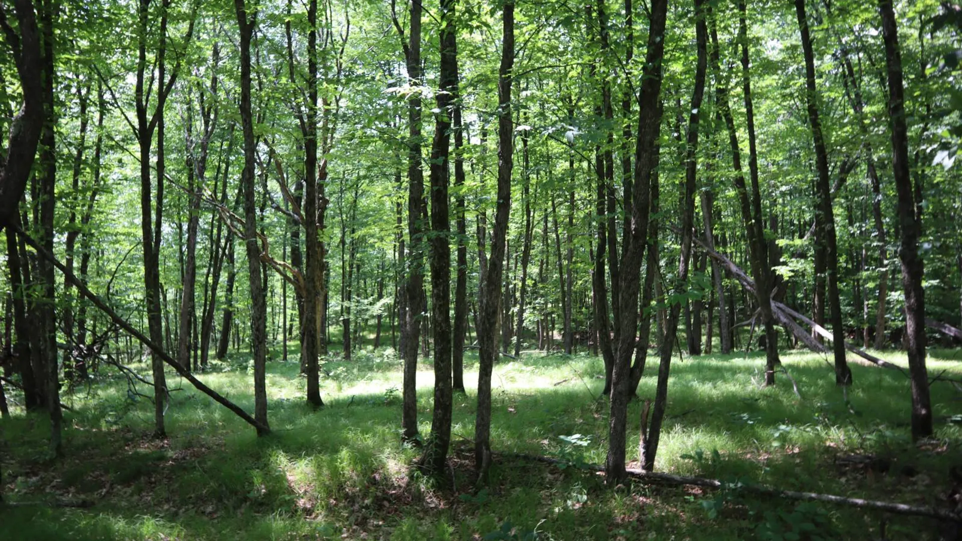 Property at 211 Bromley Ln, Granville, NY 12832 61