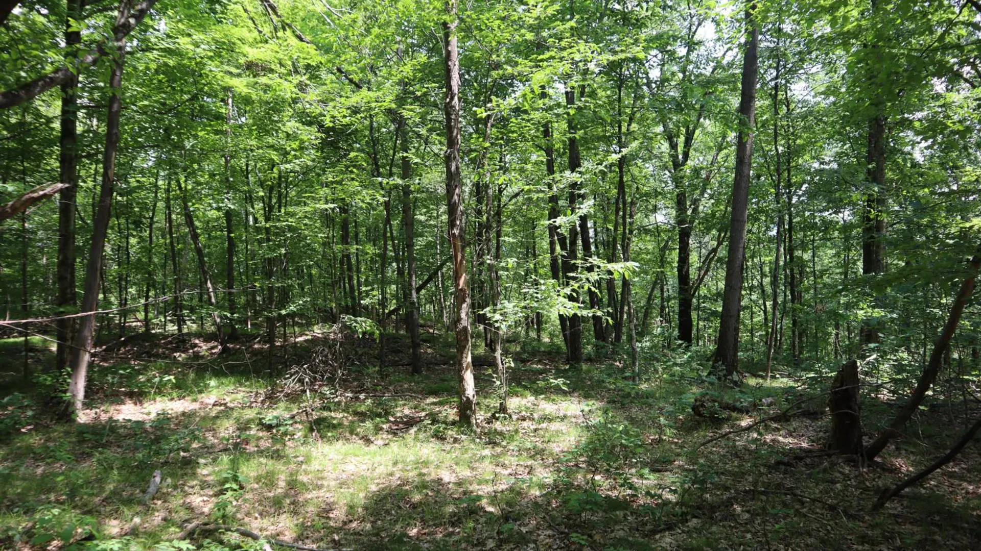 Property at 211 Bromley Ln, Granville, NY 12832 62