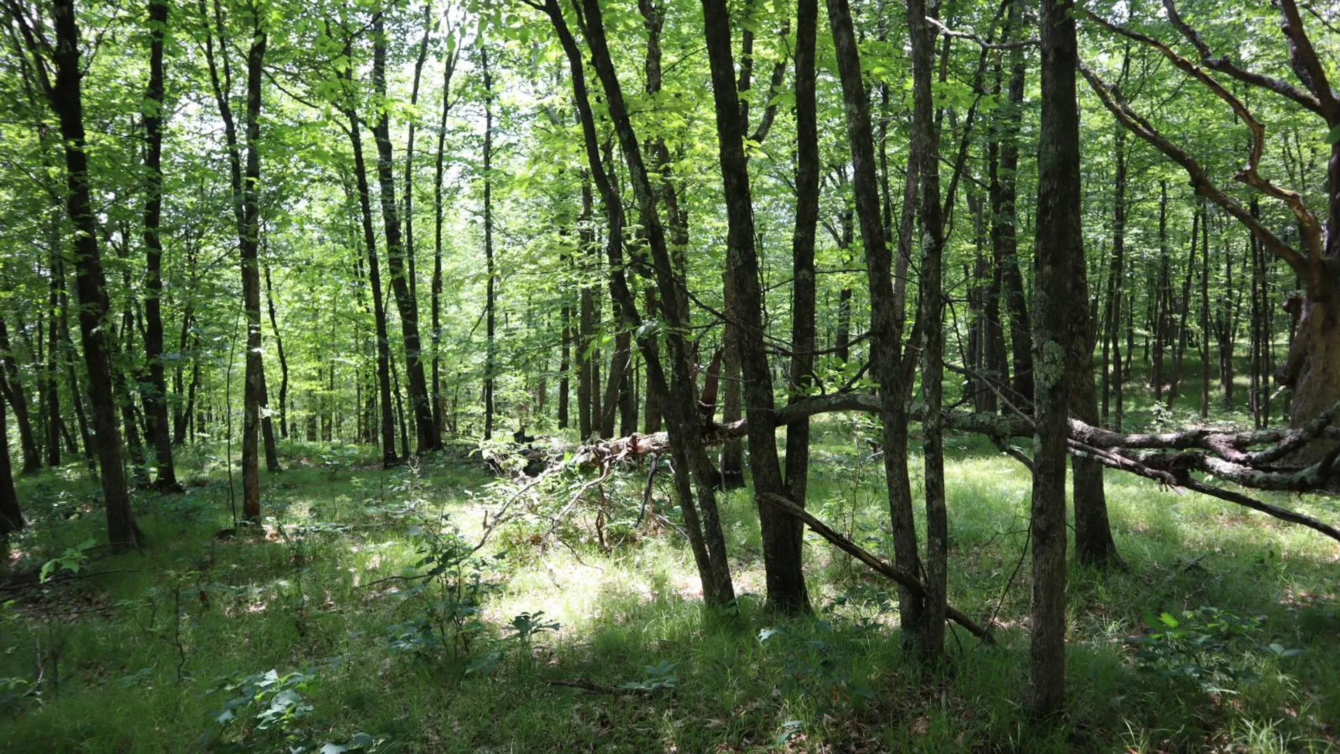 Property at 211 Bromley Ln, Granville, NY 12832 63