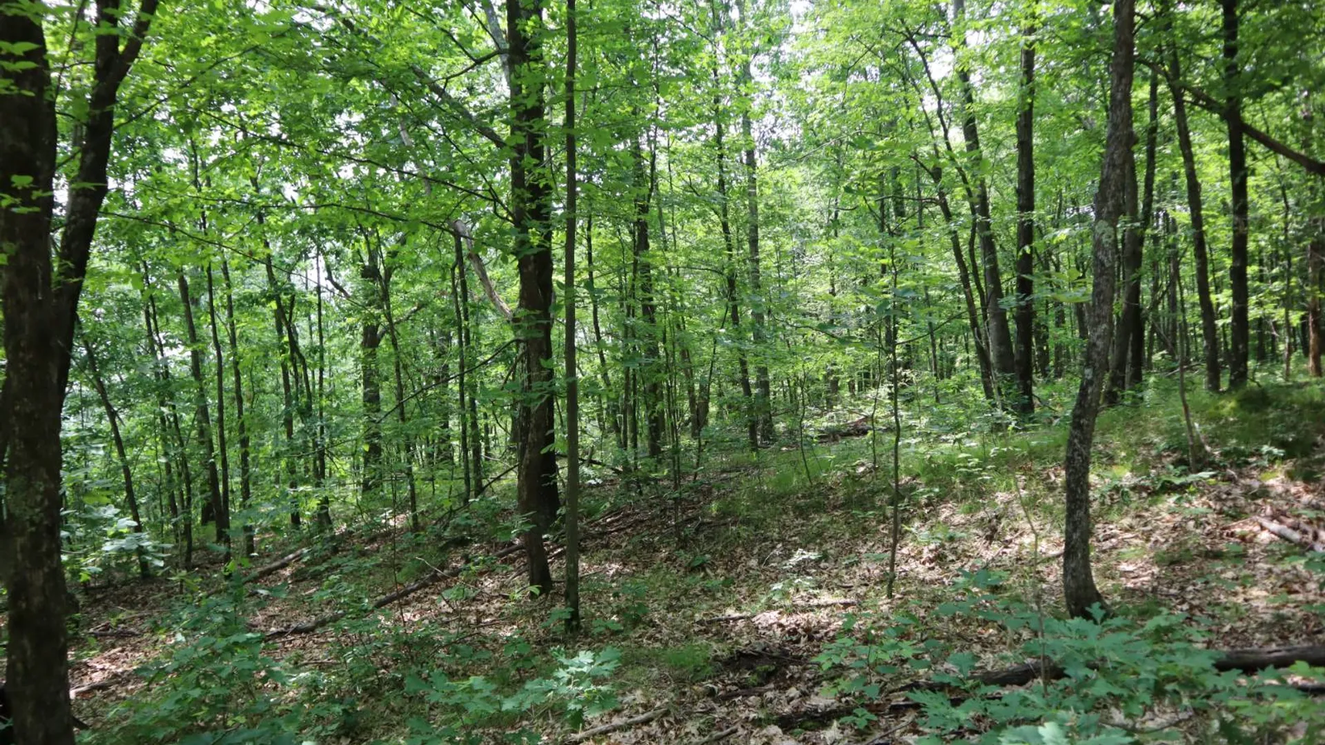 Property at 211 Bromley Ln, Granville, NY 12832 67