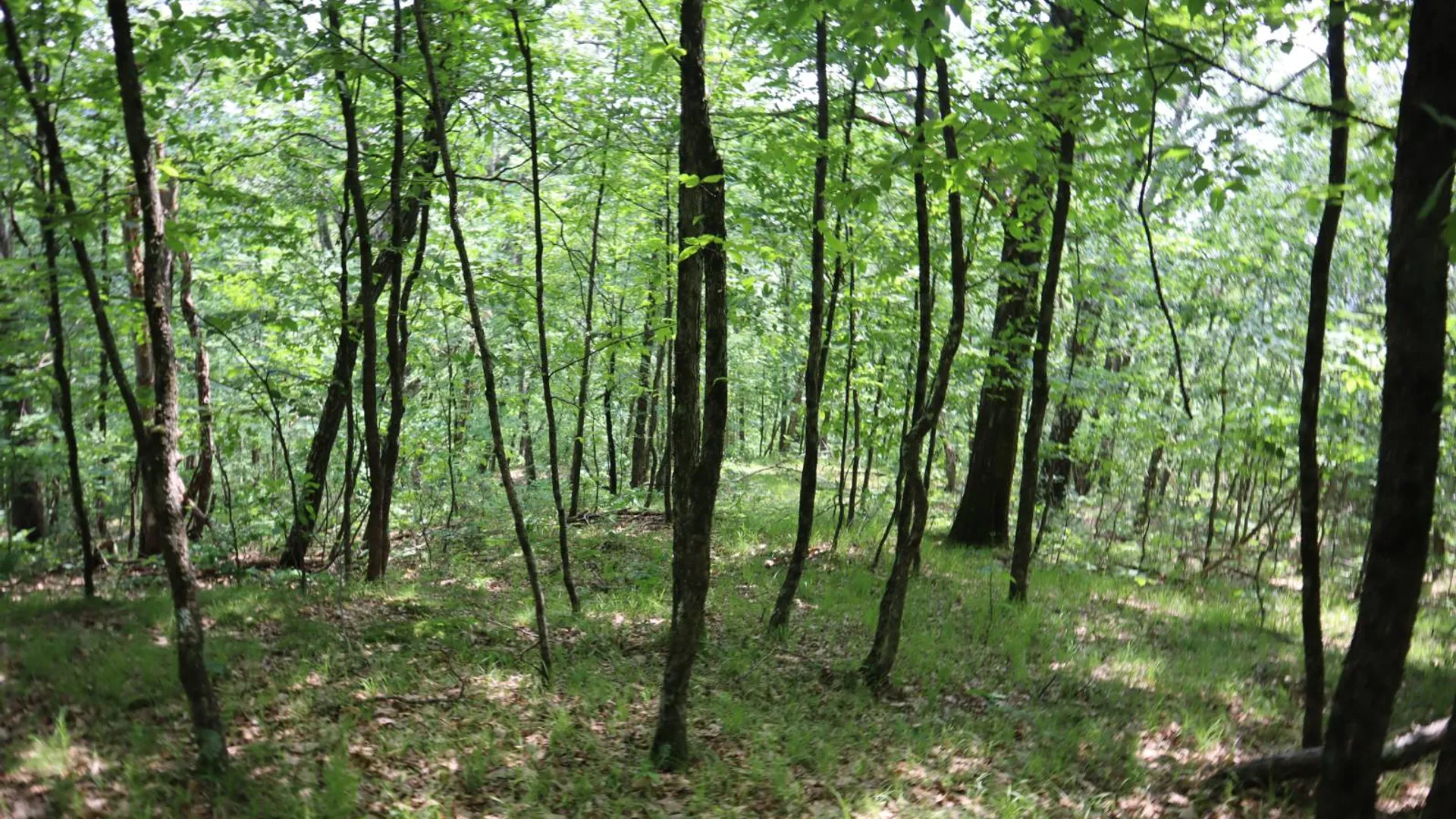 Property at 211 Bromley Ln, Granville, NY 12832 68