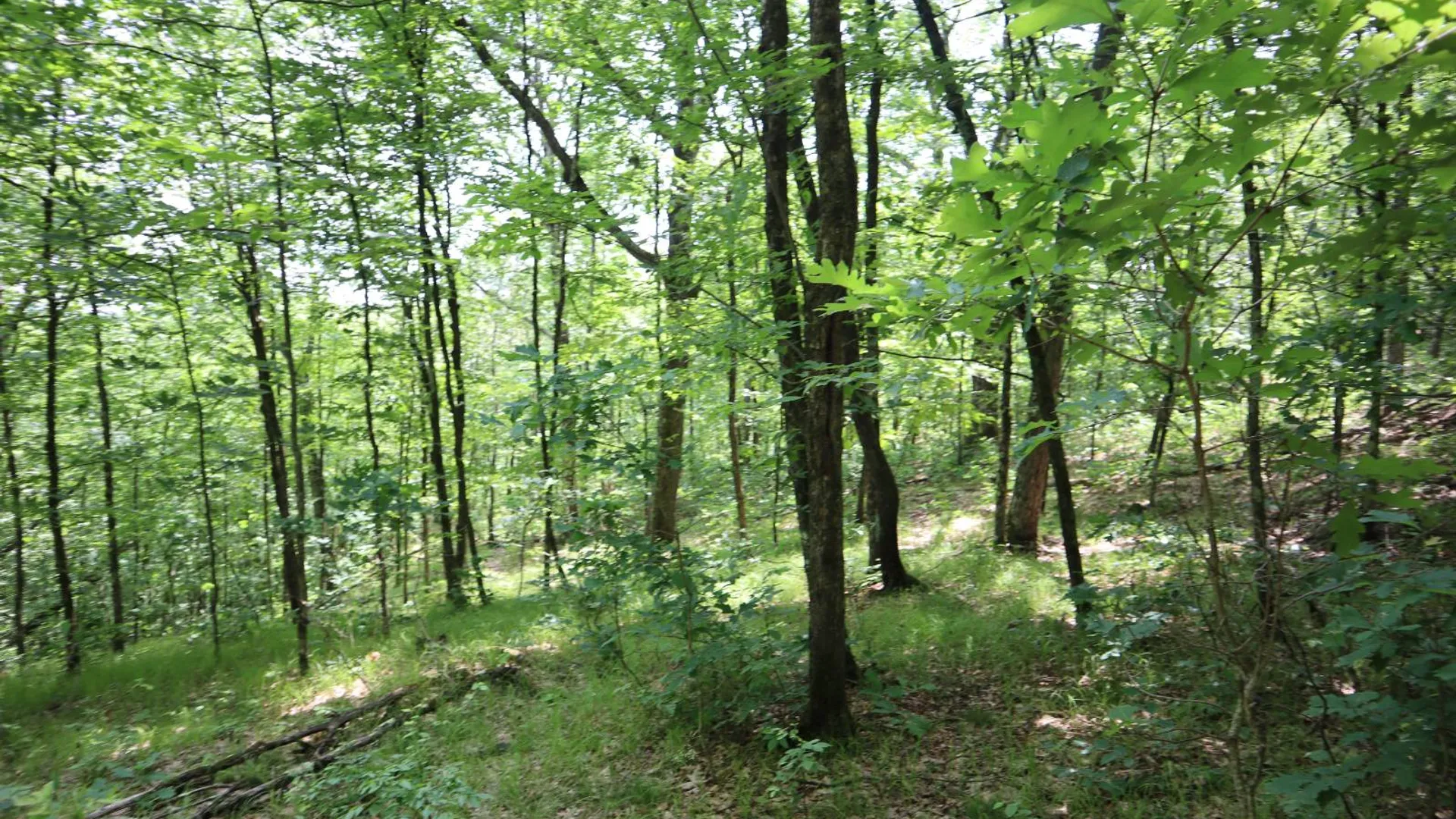 Property at 211 Bromley Ln, Granville, NY 12832 69