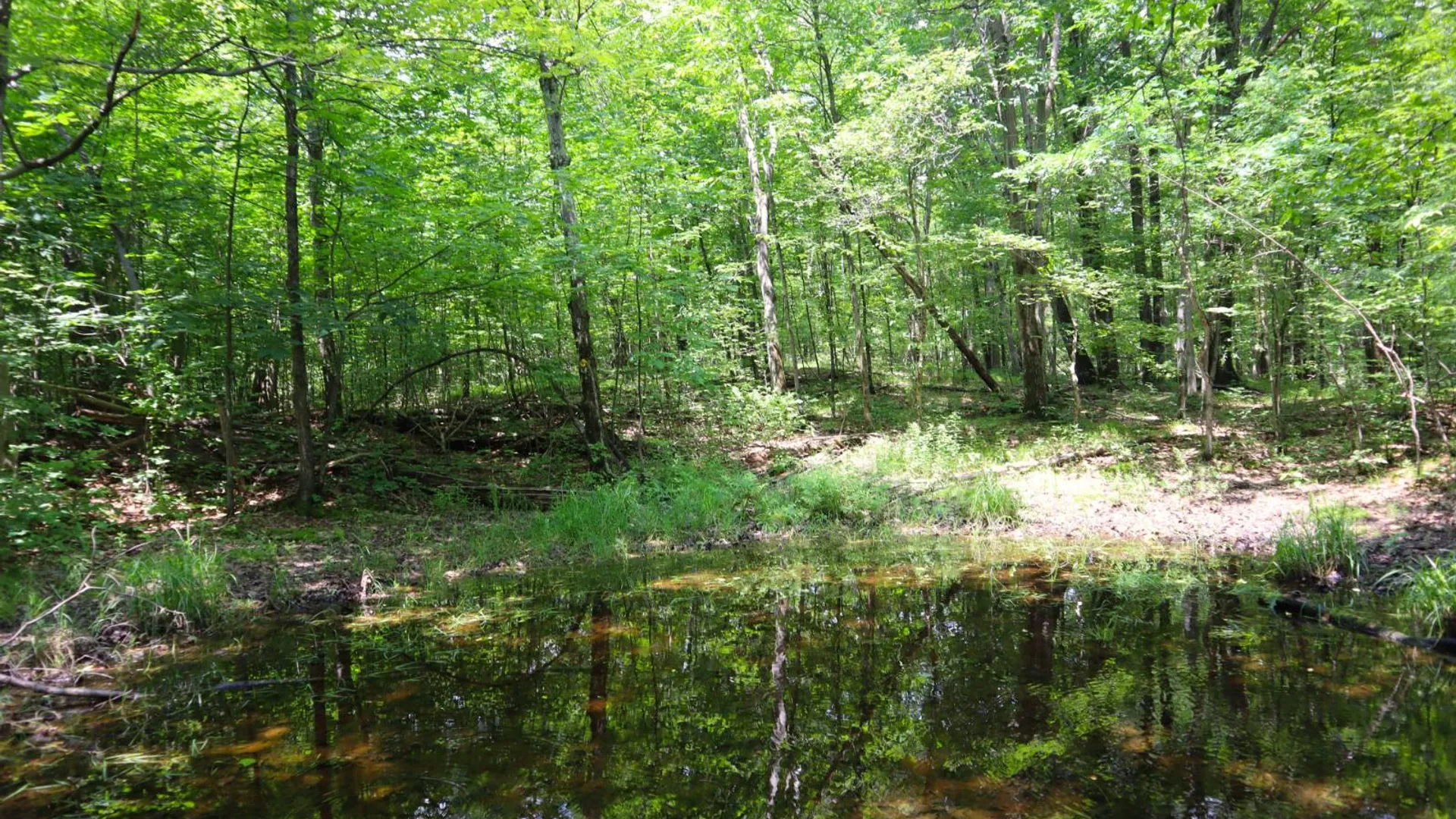 Property at 211 Bromley Ln, Granville, NY 12832 7