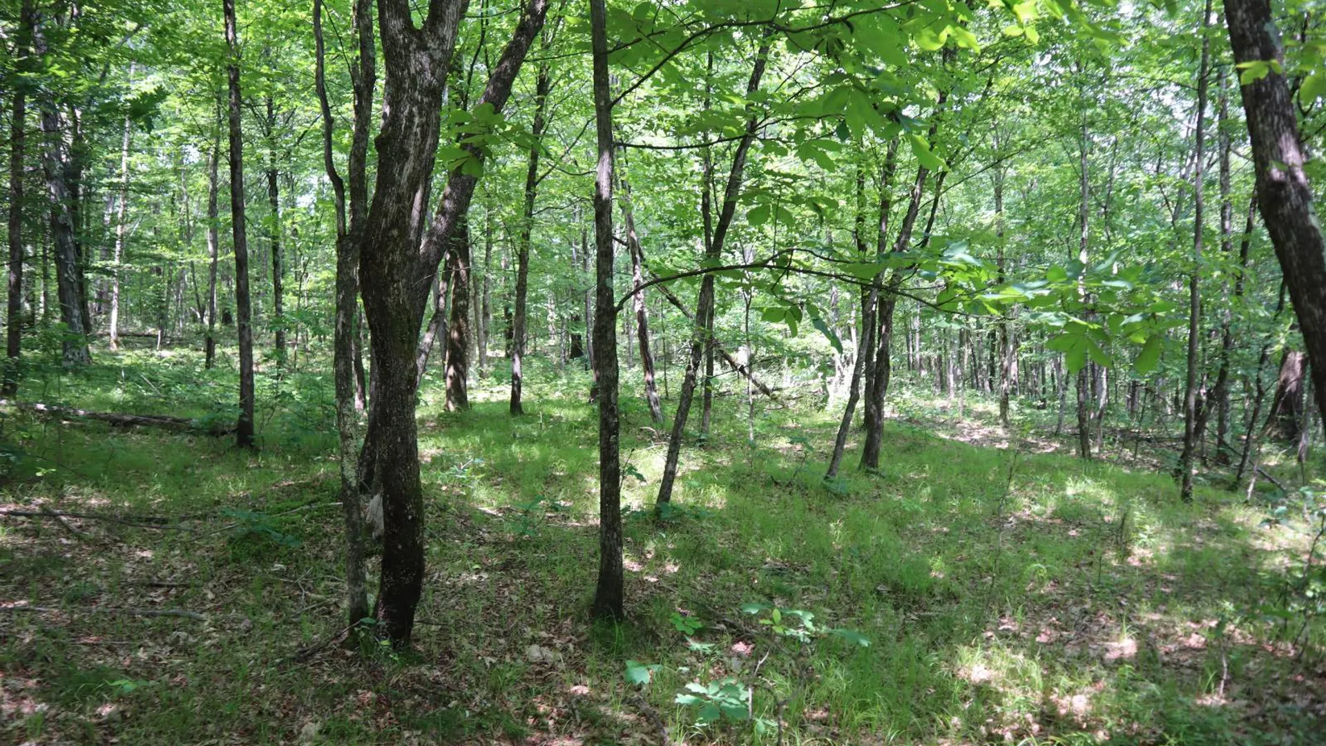 Property at 211 Bromley Ln, Granville, NY 12832 70