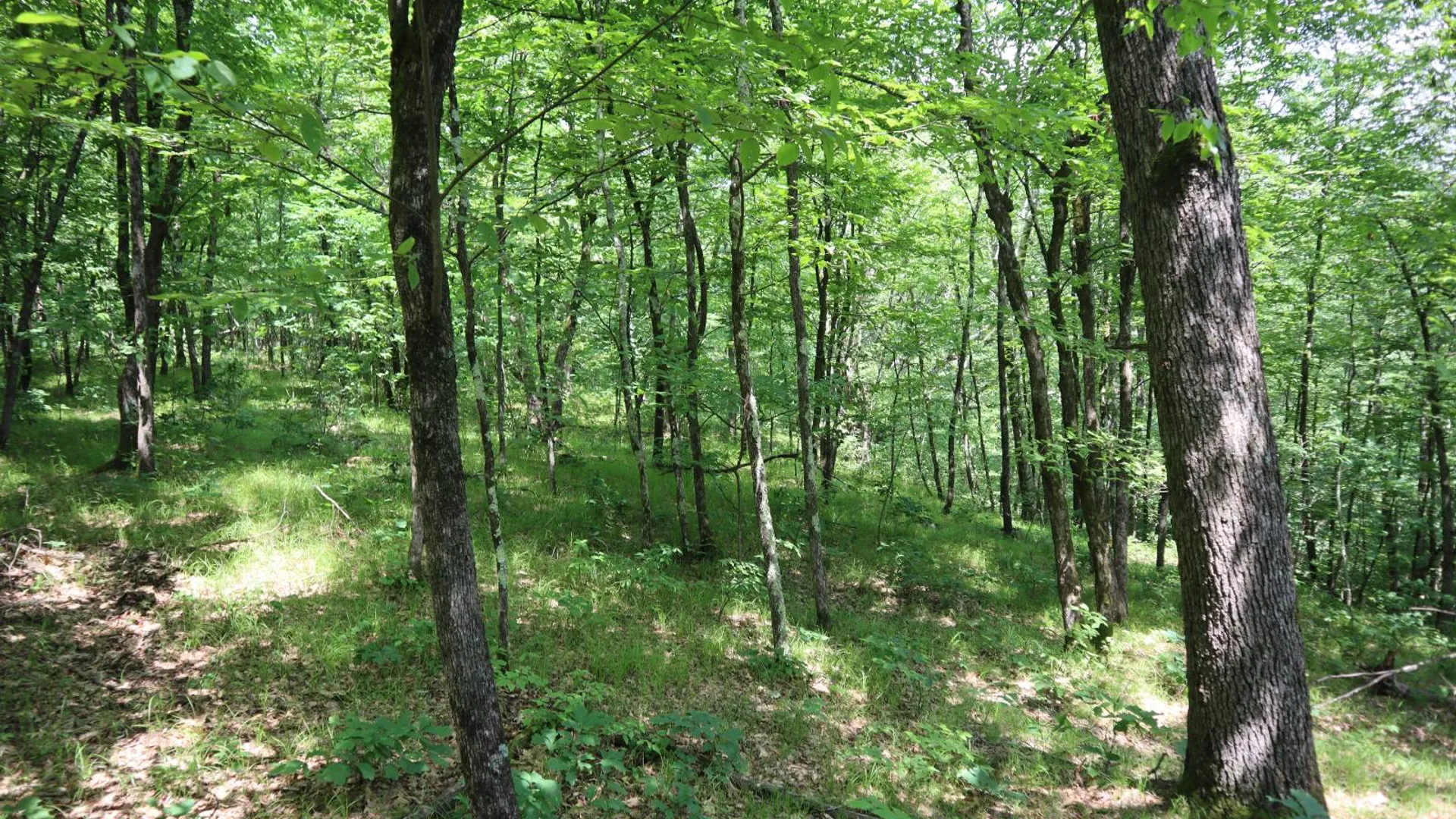 Property at 211 Bromley Ln, Granville, NY 12832 71