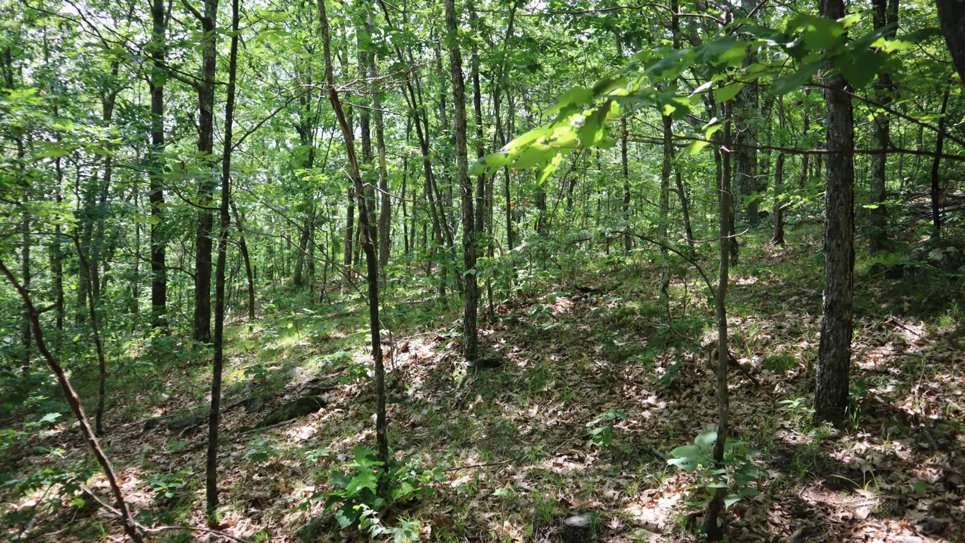 Property at 211 Bromley Ln, Granville, NY 12832 72