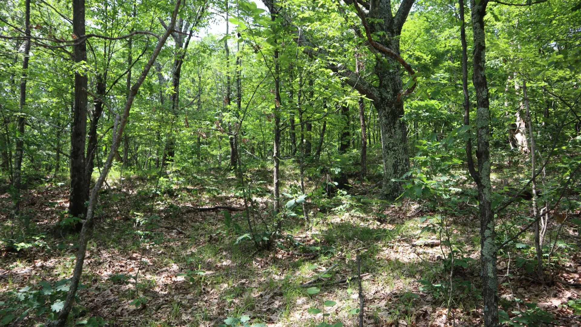 Property at 211 Bromley Ln, Granville, NY 12832 73