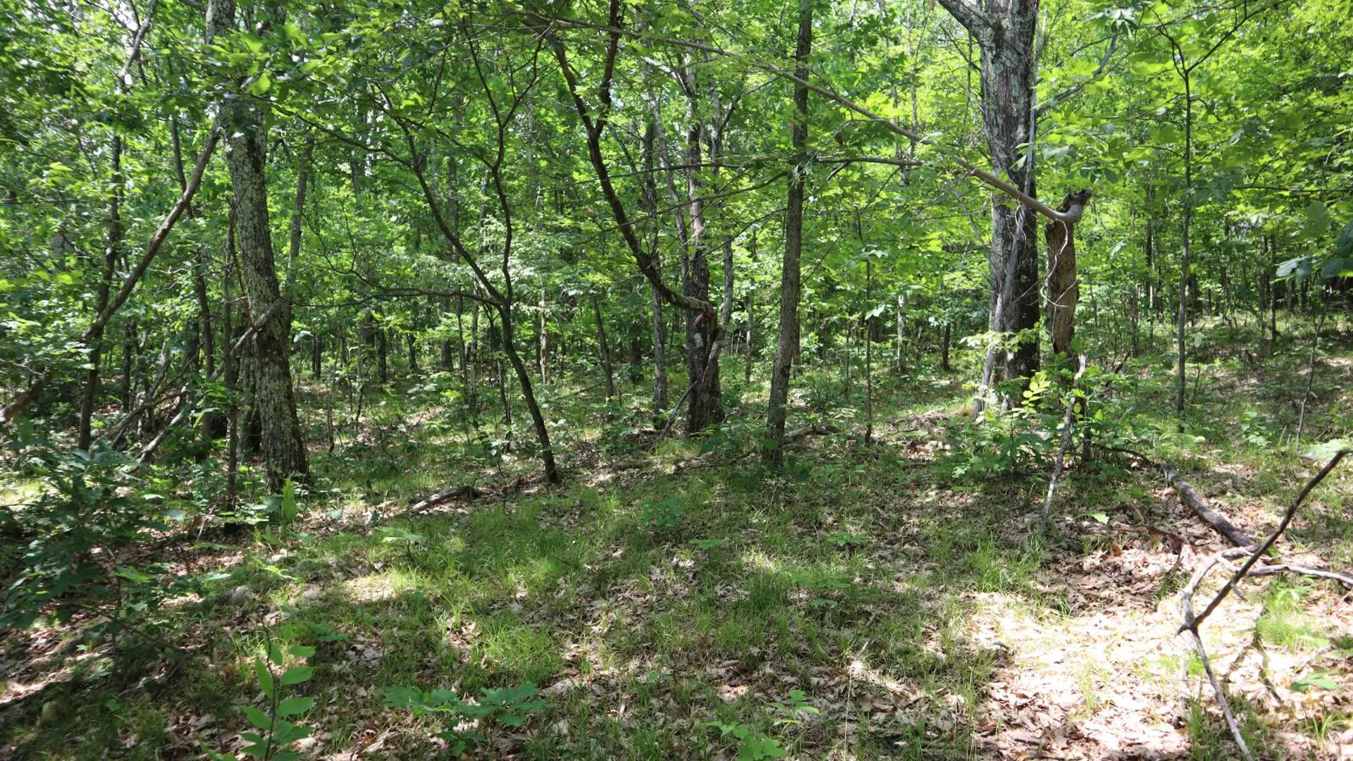 Property at 211 Bromley Ln, Granville, NY 12832 74