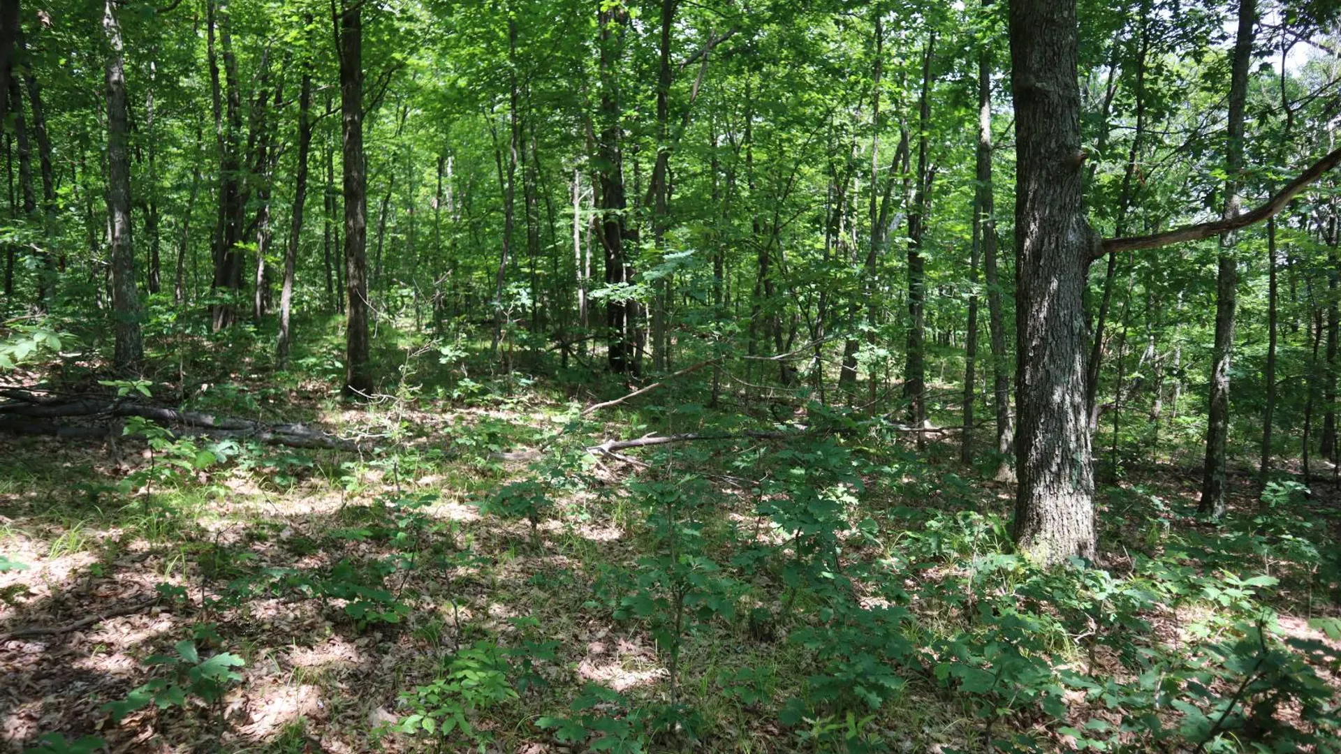 Property at 211 Bromley Ln, Granville, NY 12832 76