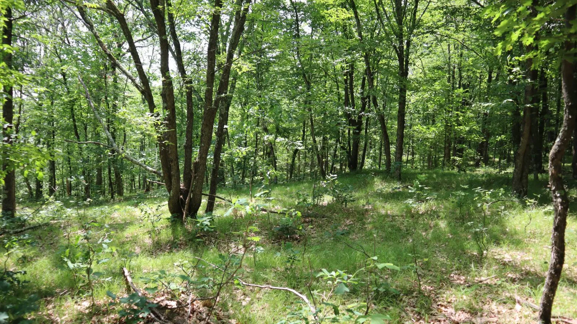 Property at 211 Bromley Ln, Granville, NY 12832 77