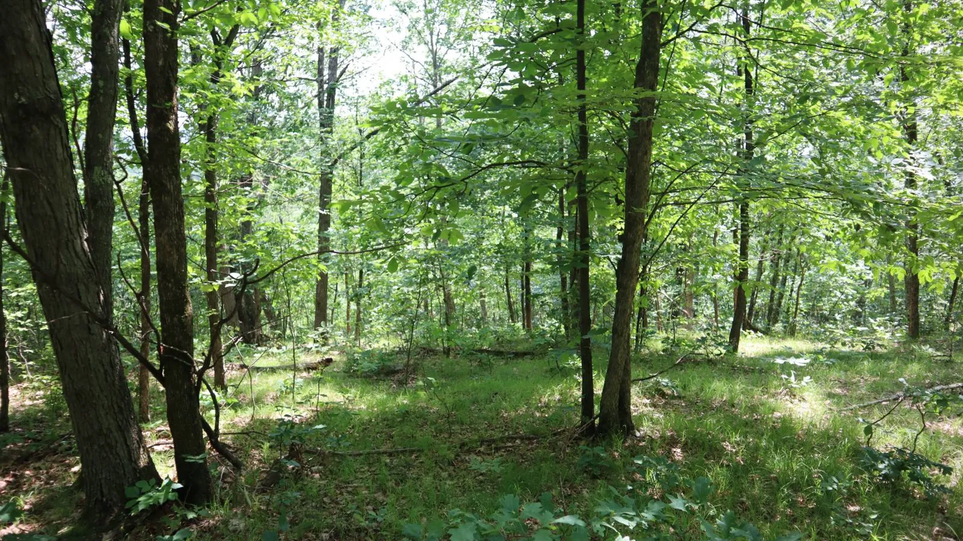 Property at 211 Bromley Ln, Granville, NY 12832 78