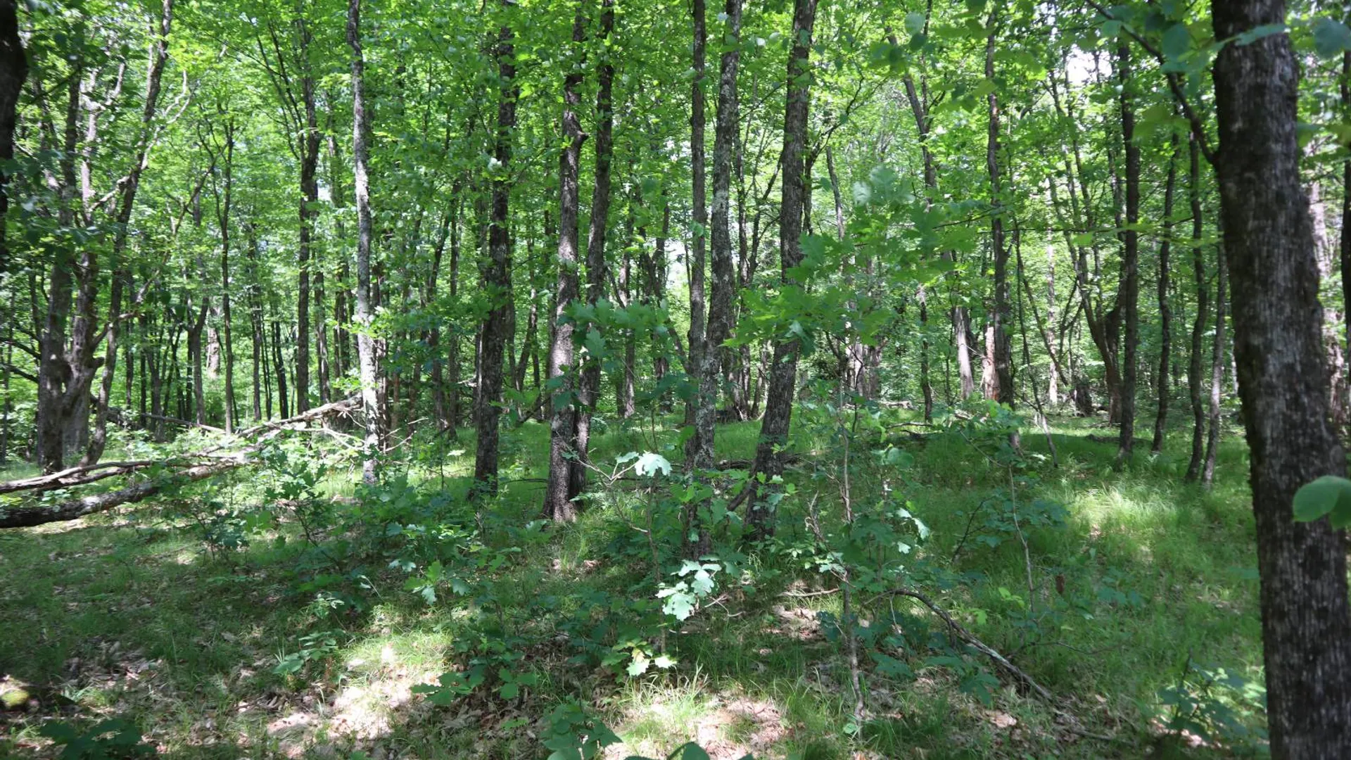 Property at 211 Bromley Ln, Granville, NY 12832 79