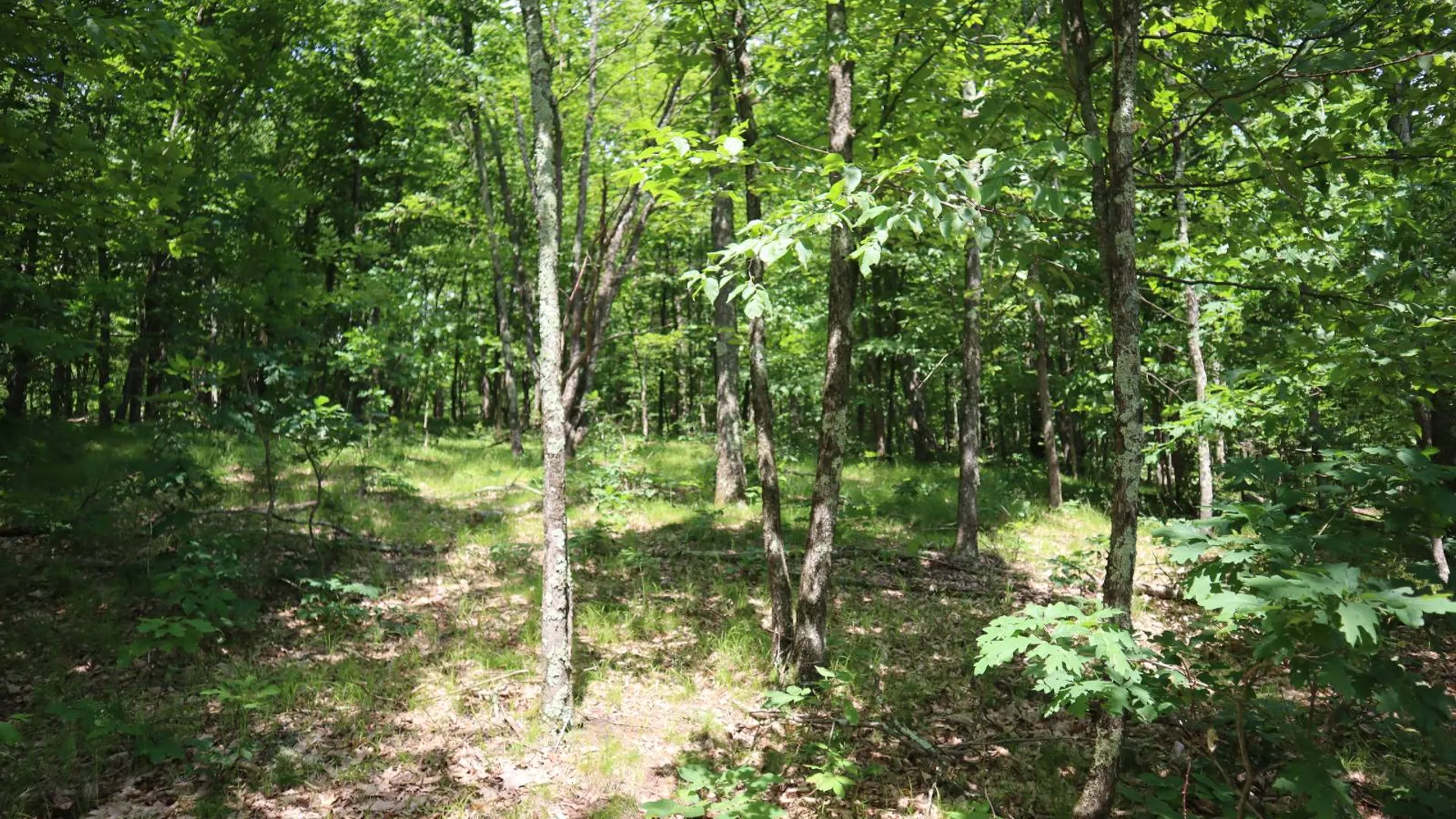 Property at 211 Bromley Ln, Granville, NY 12832 80