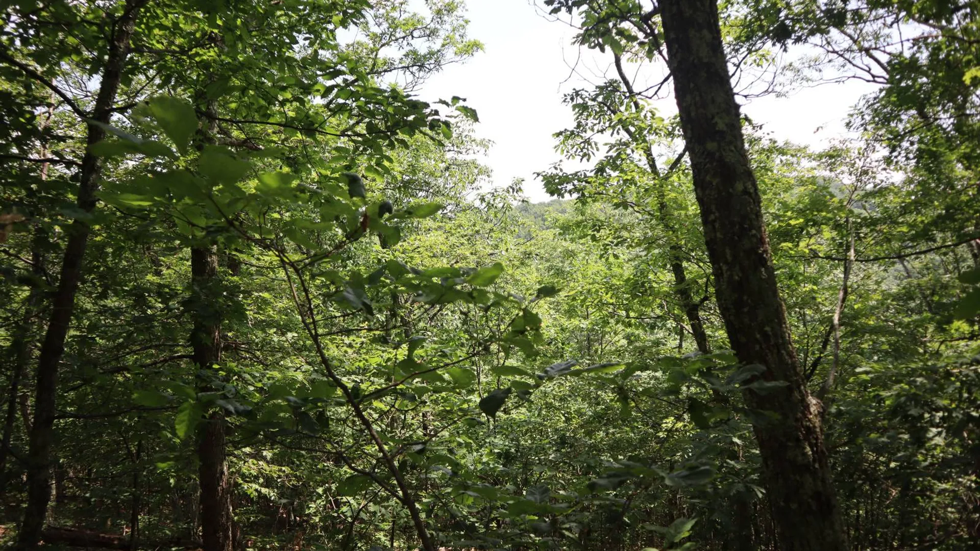 Property at 211 Bromley Ln, Granville, NY 12832 81