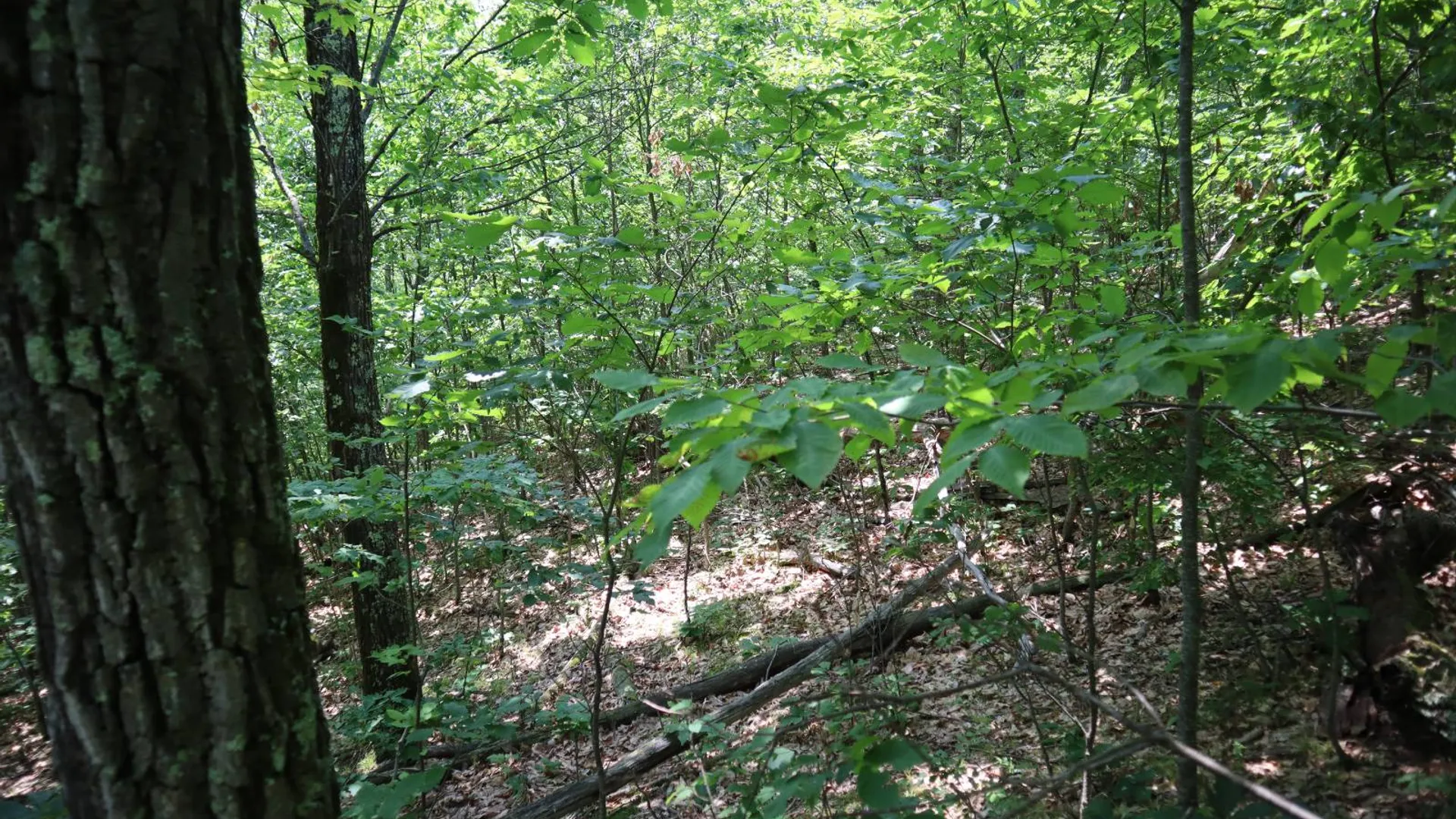 Property at 211 Bromley Ln, Granville, NY 12832 82