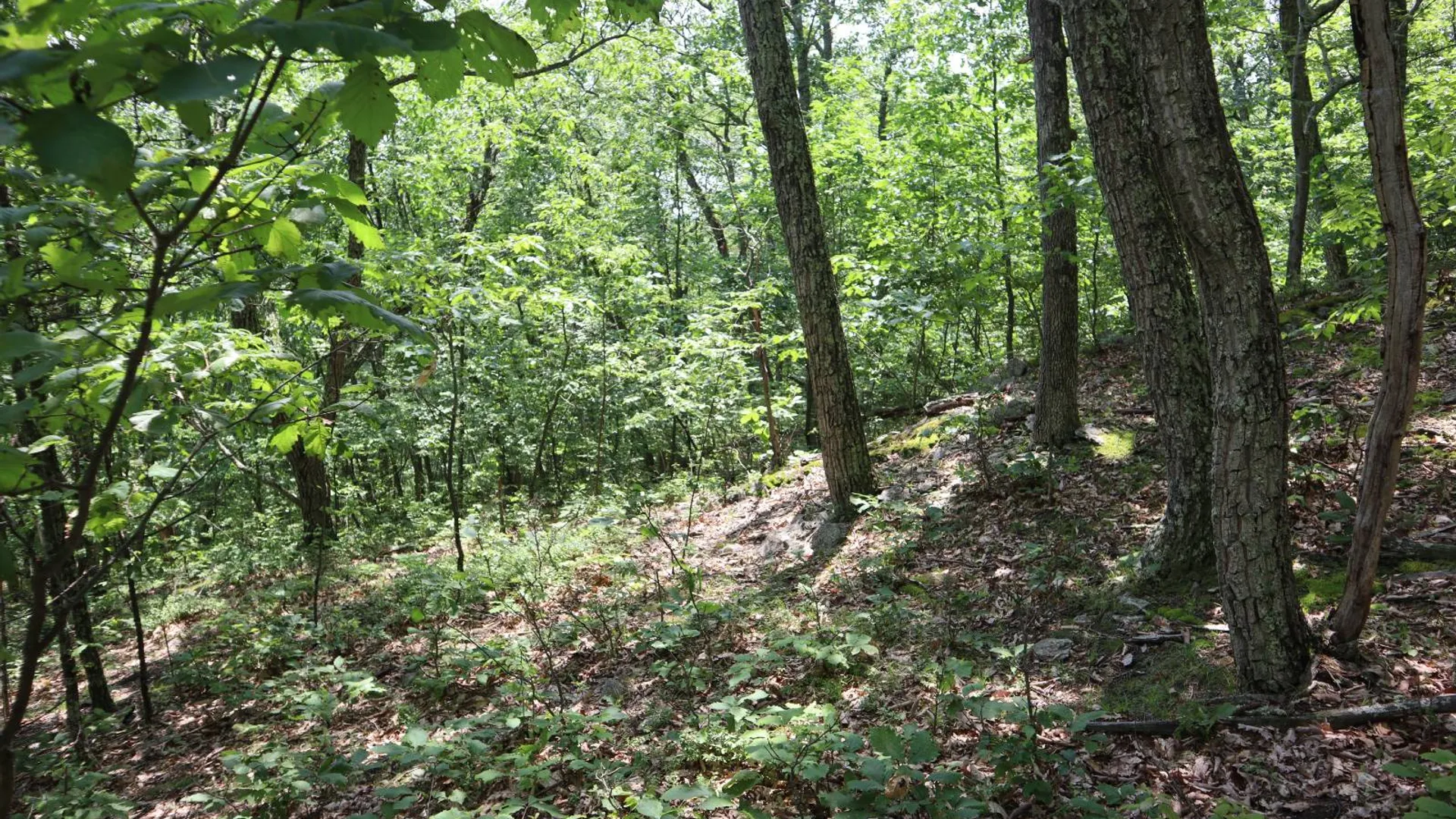 Property at 211 Bromley Ln, Granville, NY 12832 83