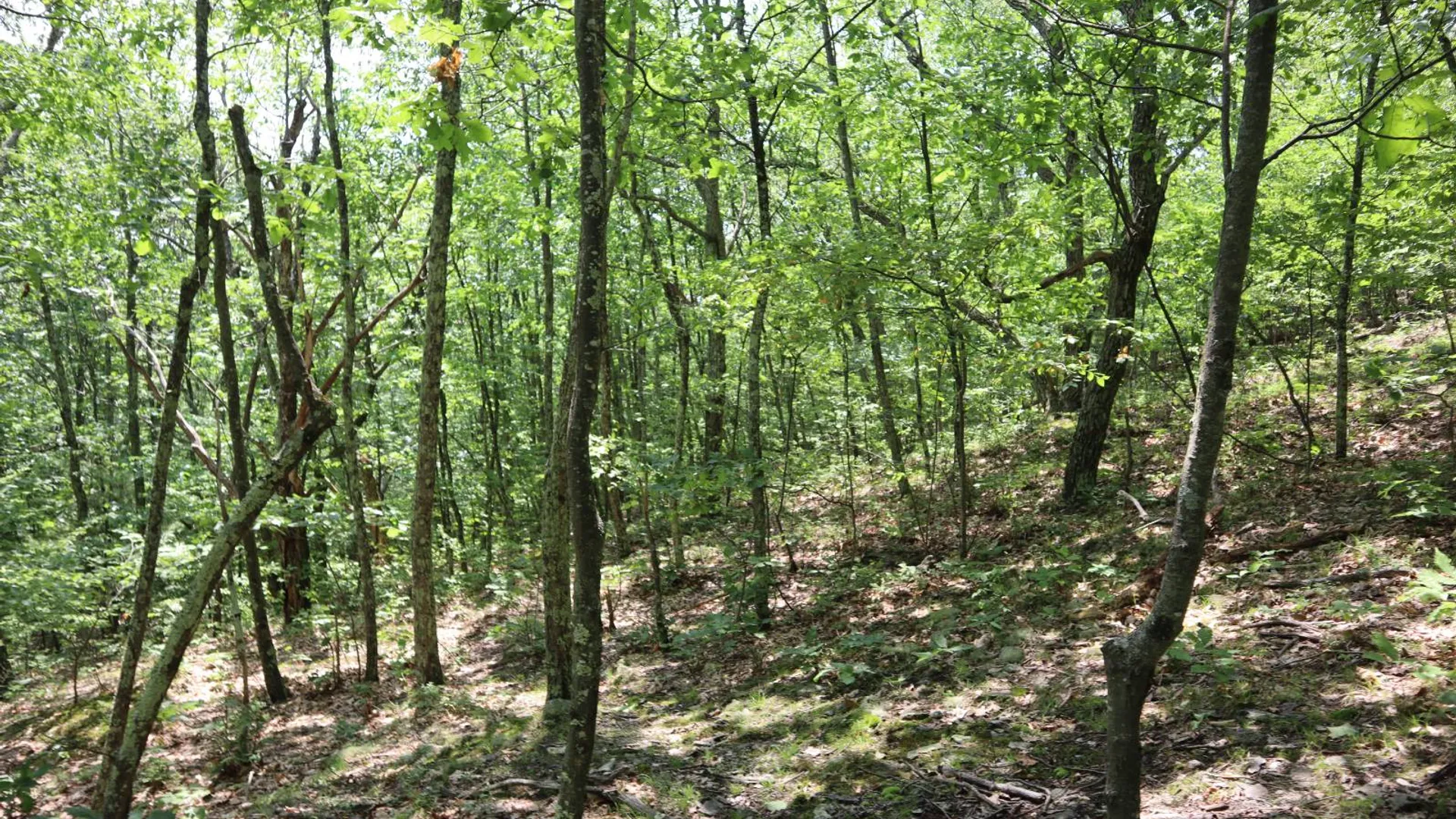 Property at 211 Bromley Ln, Granville, NY 12832 84