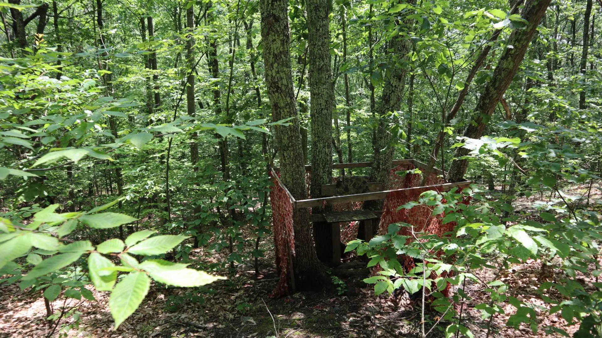 Property at 211 Bromley Ln, Granville, NY 12832 85