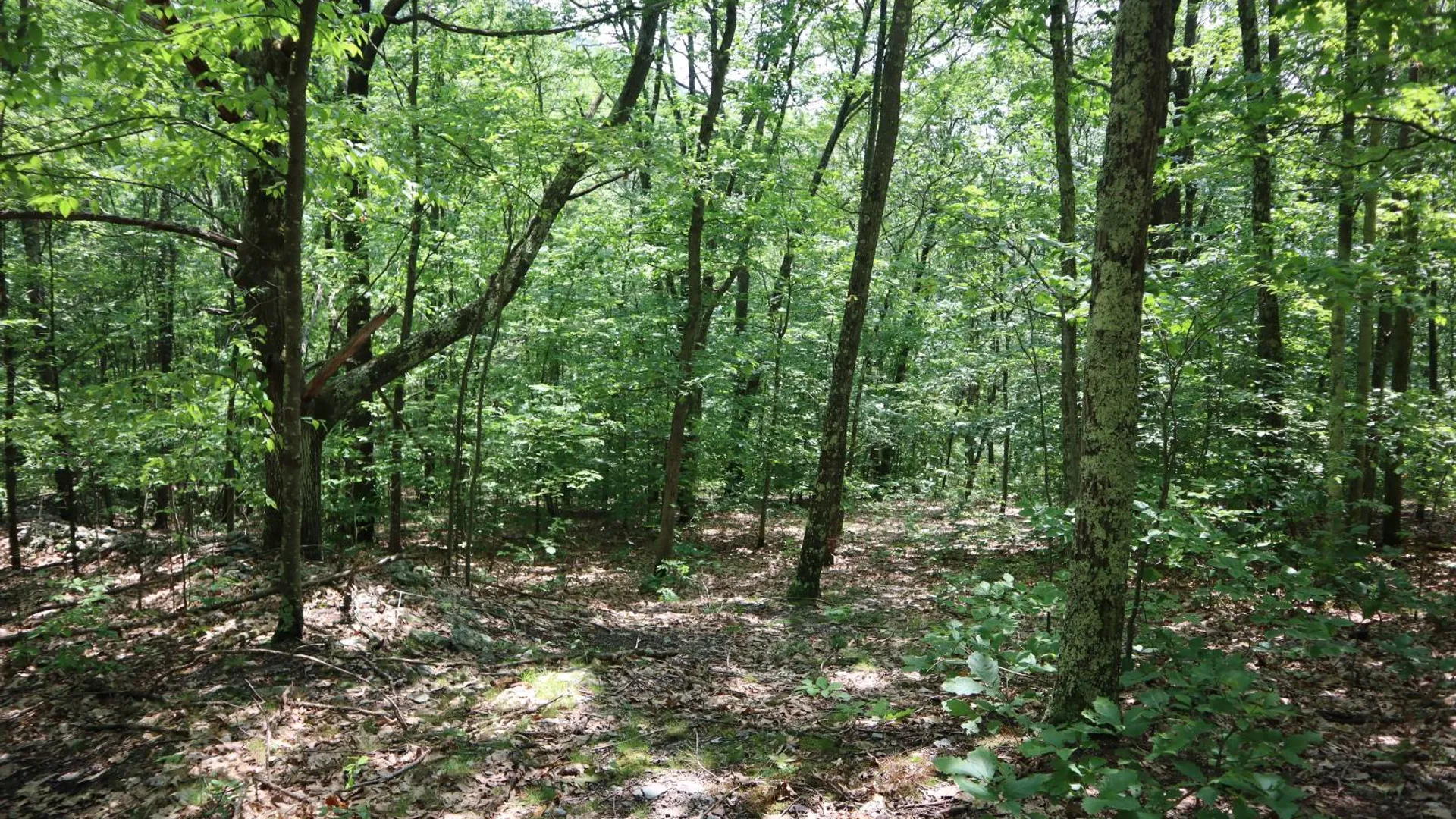 Property at 211 Bromley Ln, Granville, NY 12832 86