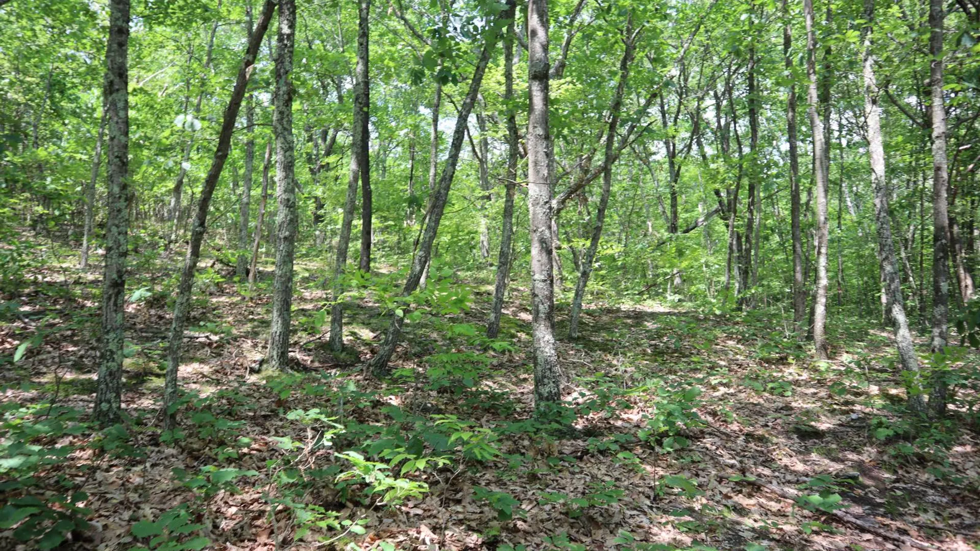 Property at 211 Bromley Ln, Granville, NY 12832 87