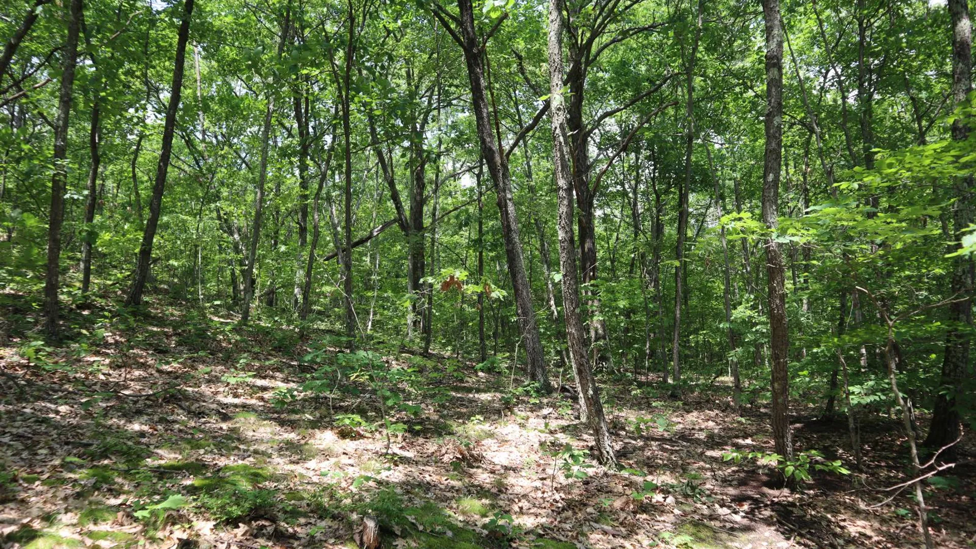 Property at 211 Bromley Ln, Granville, NY 12832 88