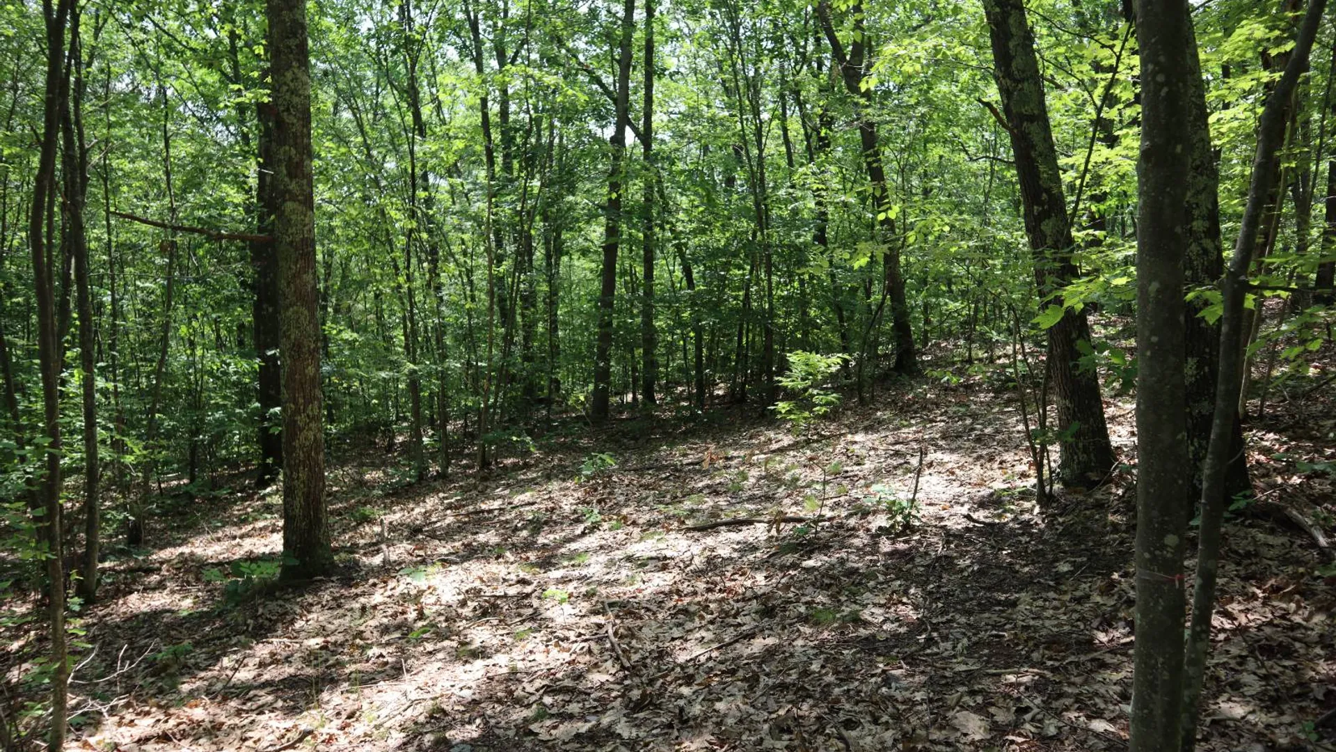 Property at 211 Bromley Ln, Granville, NY 12832 89