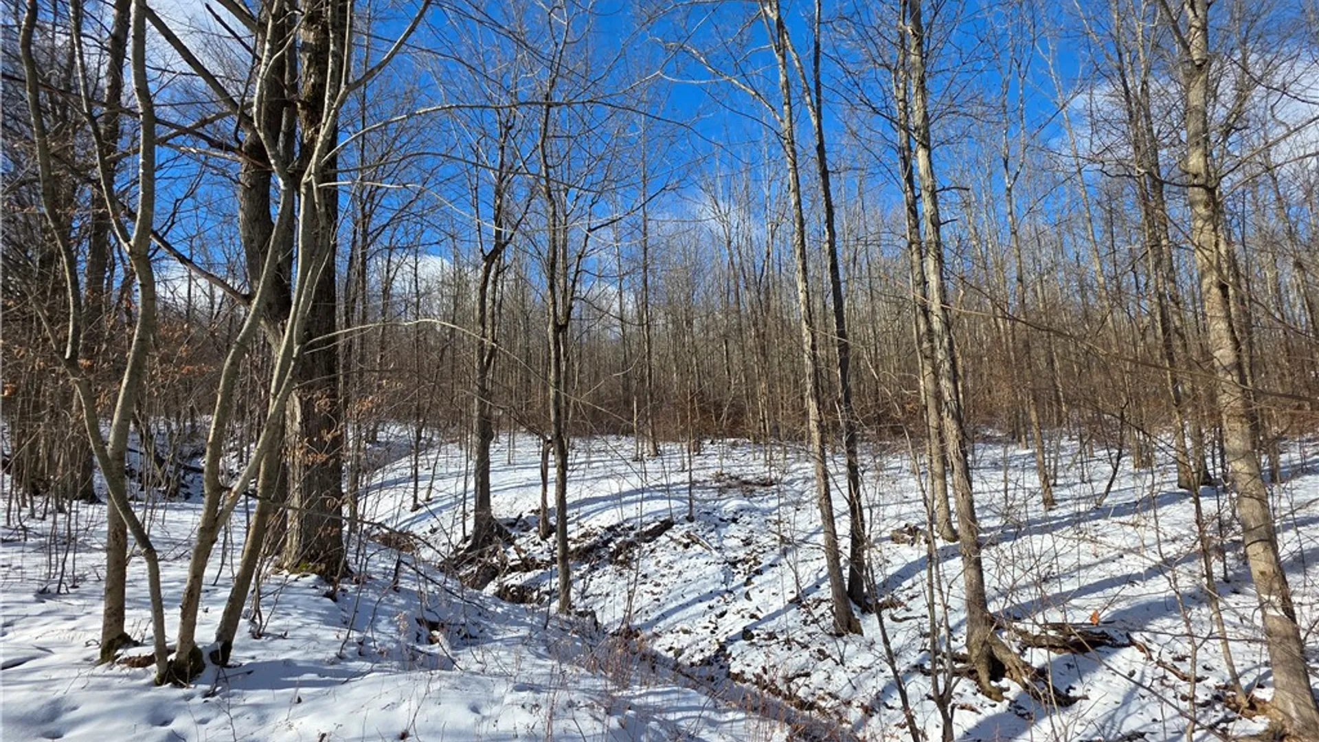 Property at 3533 County Route 82, Troupsburg, NY 14885 35
