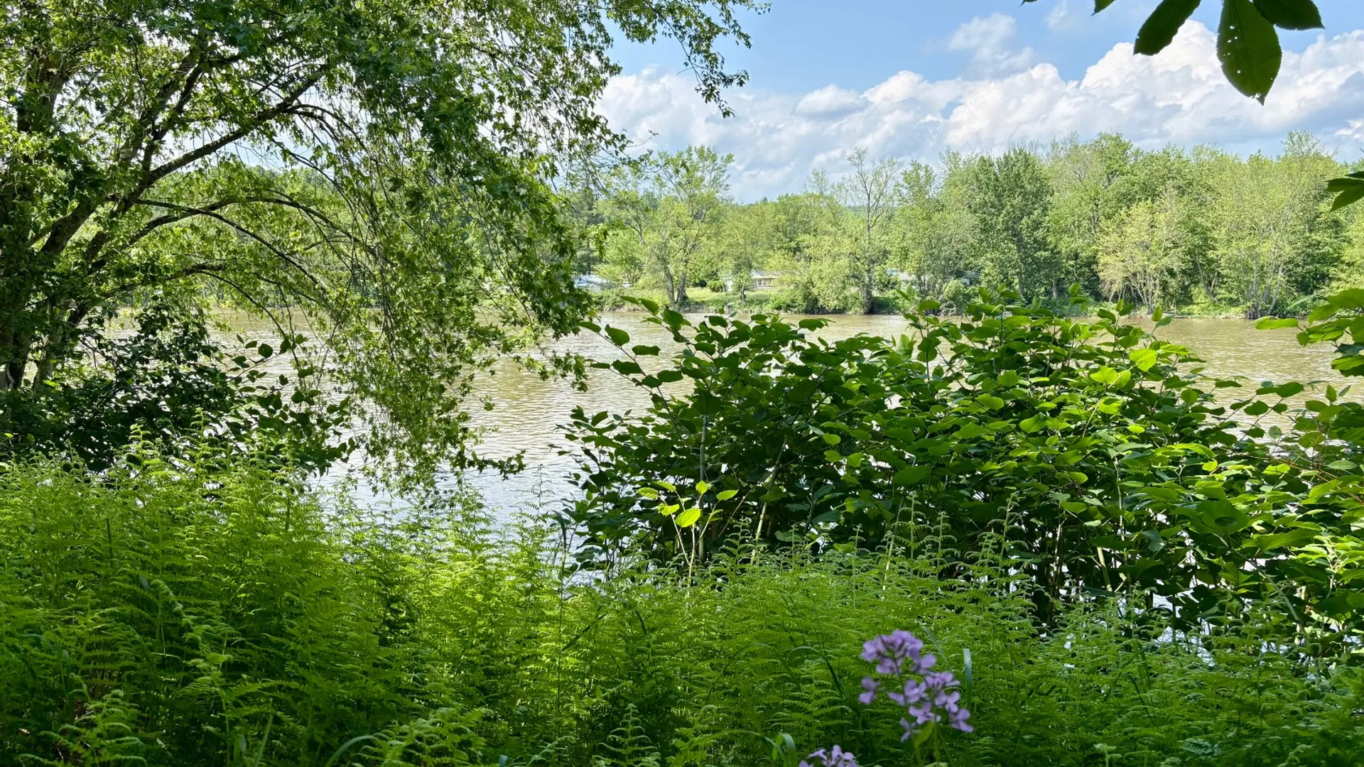 Property at 245 Mountain Rd, Windsor, NY 13865 2