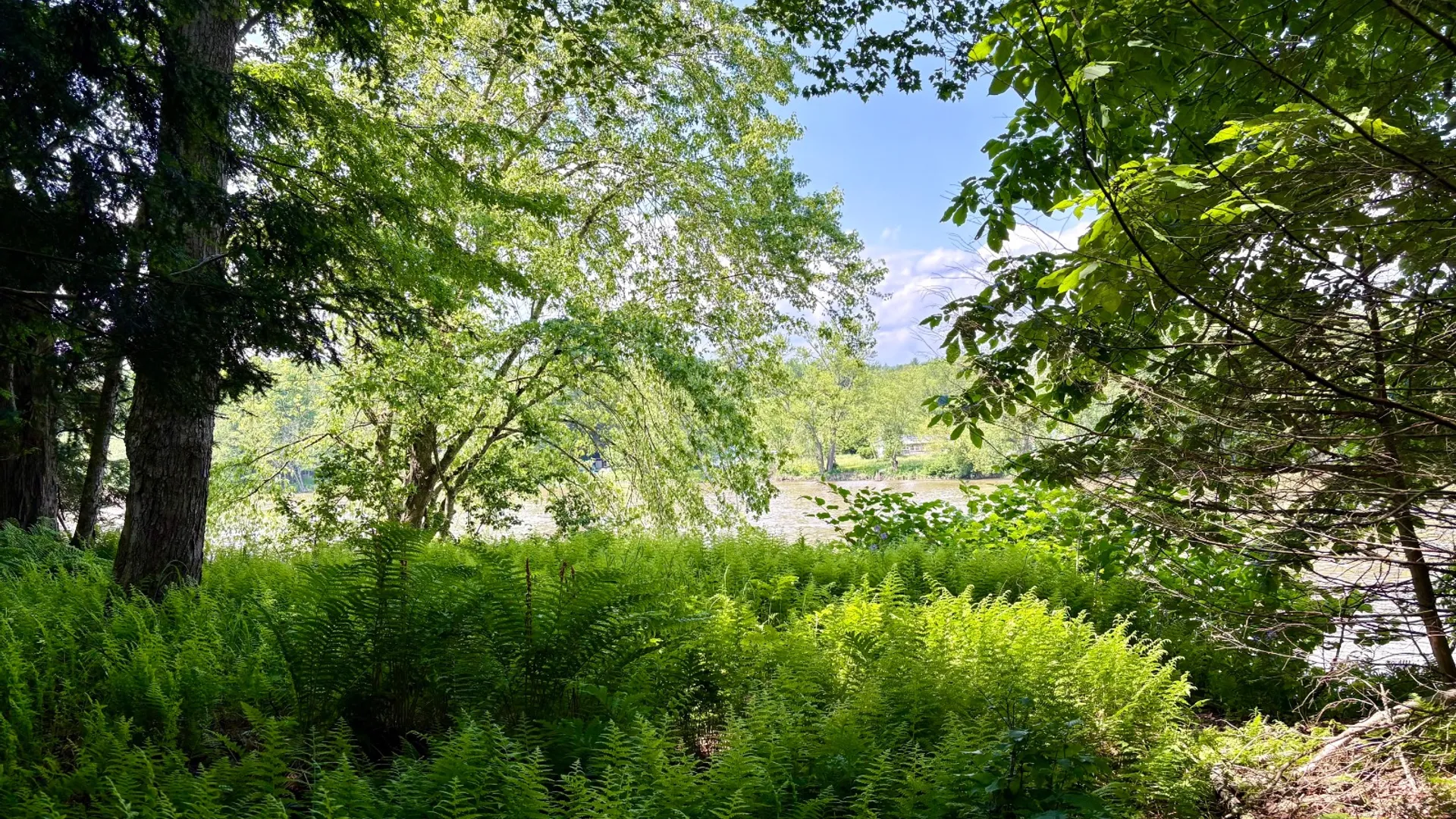 Property at 245 Mountain Rd, Windsor, NY 13865 7