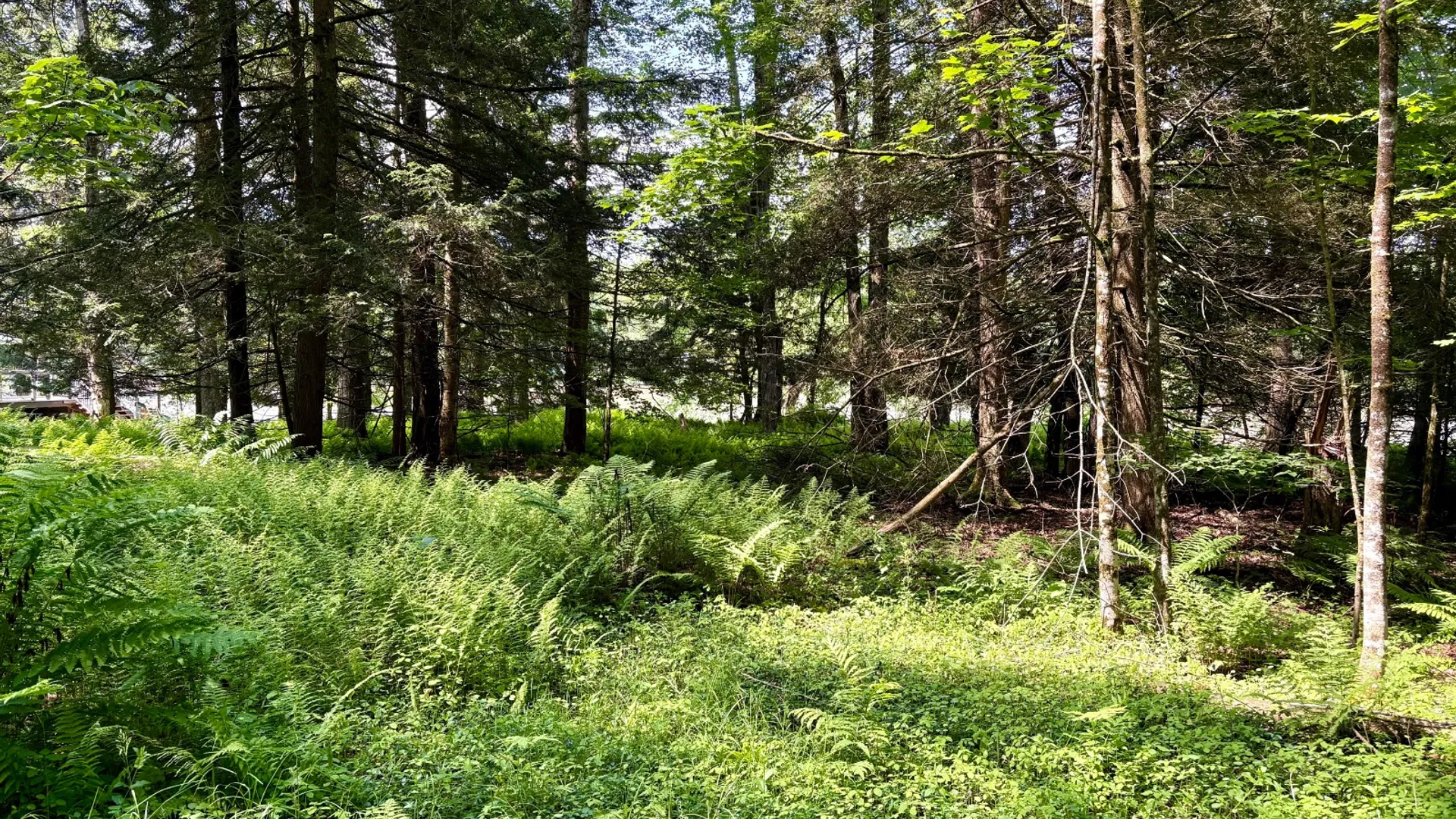 Property at 245 Mountain Rd, Windsor, NY 13865 8