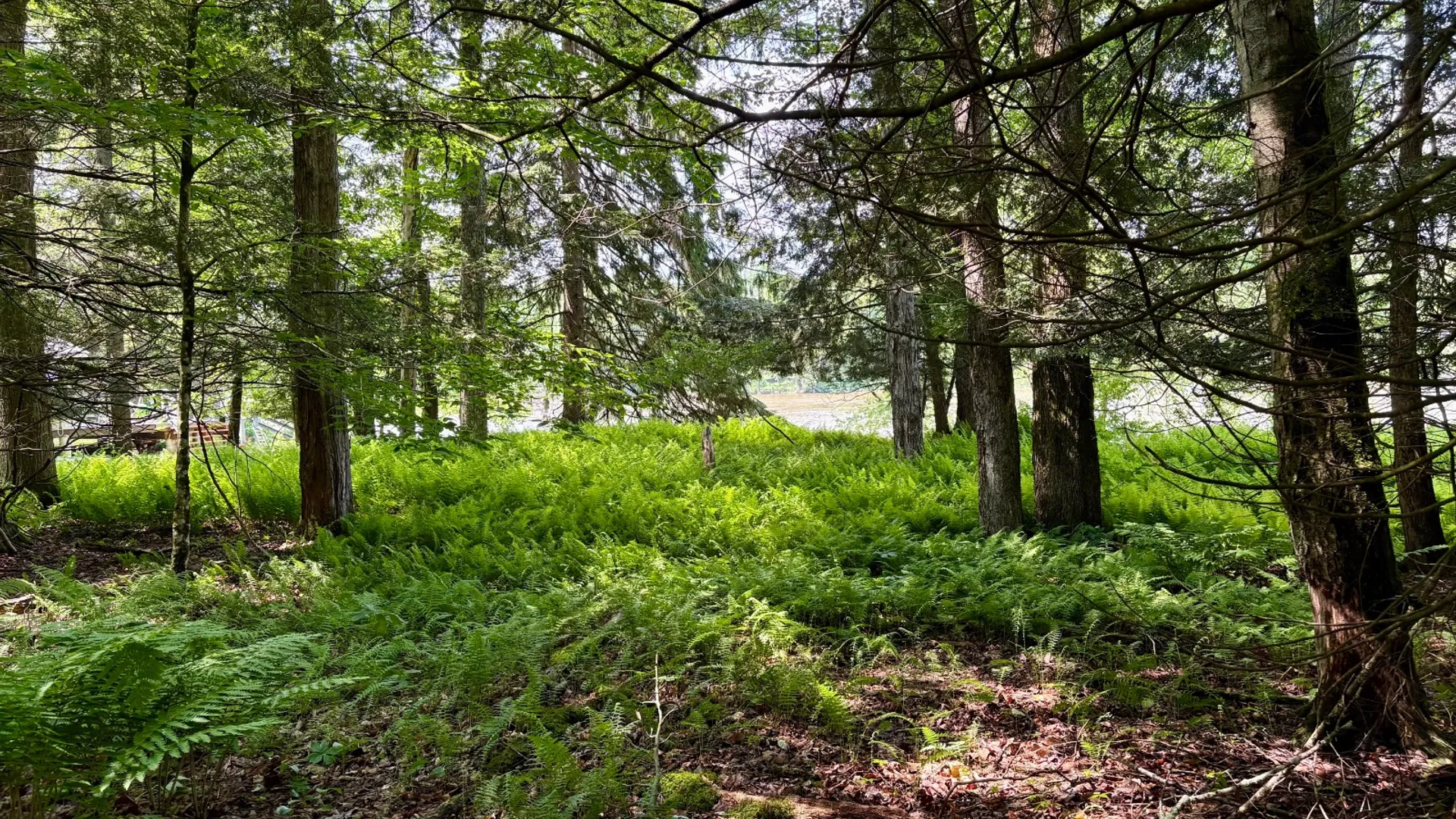 Property at 245 Mountain Rd, Windsor, NY 13865 9