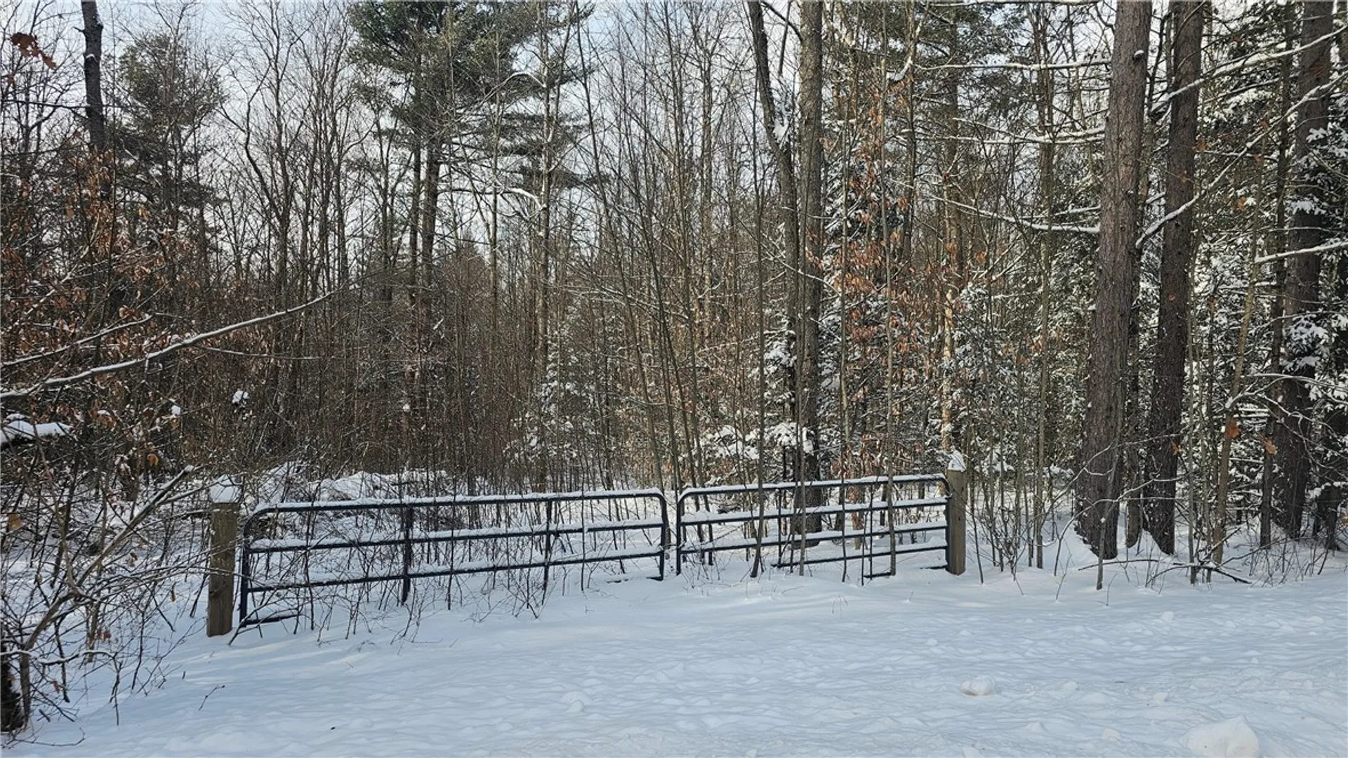 Property at Parker Hollow Road, Sidney, NY 13838 3