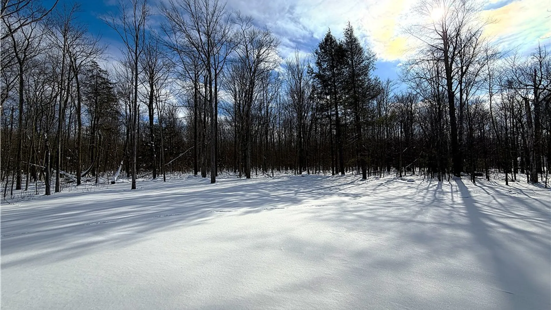 Property at 595 Seneca Road, Evans, NY 14006 35