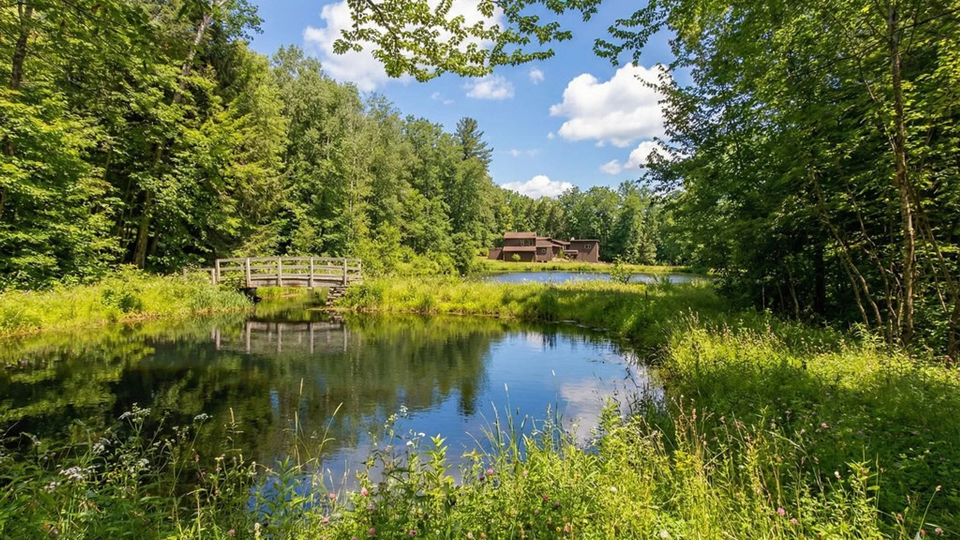 Property at 217 Elm Drive, Bainbridge, NY 13733 47