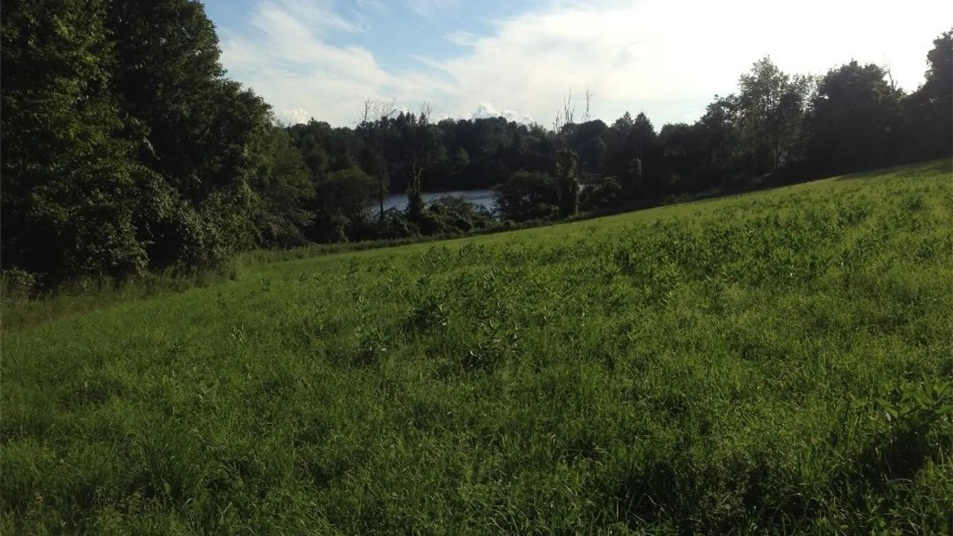 Property at 143 Lake Road, Columbia, NY 13491 20