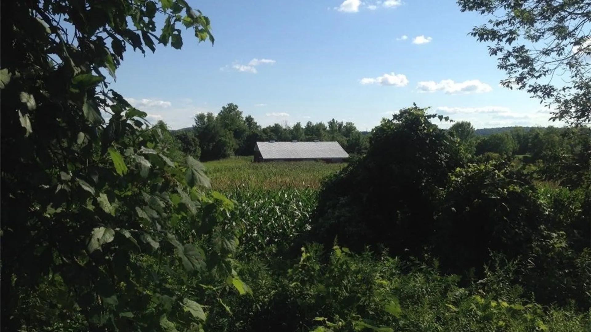 Property at 143 Lake Road, Columbia, NY 13491 3